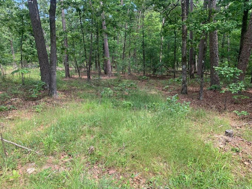 It's time to make the village your home.  Check out this beautiful building lot and imagine your new home just setting there waiting for you to move in.  Choose your style and layout now and begin construction on your dream home.  Play golf anytime you want.  Take advantage of the paved walking trails and bicycle trails throughout the village.  Ride your golf cart thru the woods to the golf course.  Enjoy the club swimming pool and all of the enjoyable restaurants in the village.  You've been thinking about it and now is the time to take action.  Call today for more details and you own personal tour.