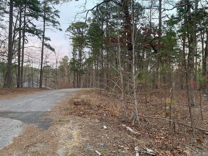 It's time to make the village your home.  Check out this beautiful building lot and imagine your new home just setting there waiting for you to move in.  Choose your style and layout now and begin construction on your dream home.  Play golf anytime you want.  Take advantage of the paved walking trails and bicycle trails throughout the village.  Ride your golf cart thru the woods to the golf course.  Enjoy the club swimming pool and all of the enjoyable restaurants in the village.  You've been thinking about it and now is the time to take action.  Call today for more details and you own personal tour.