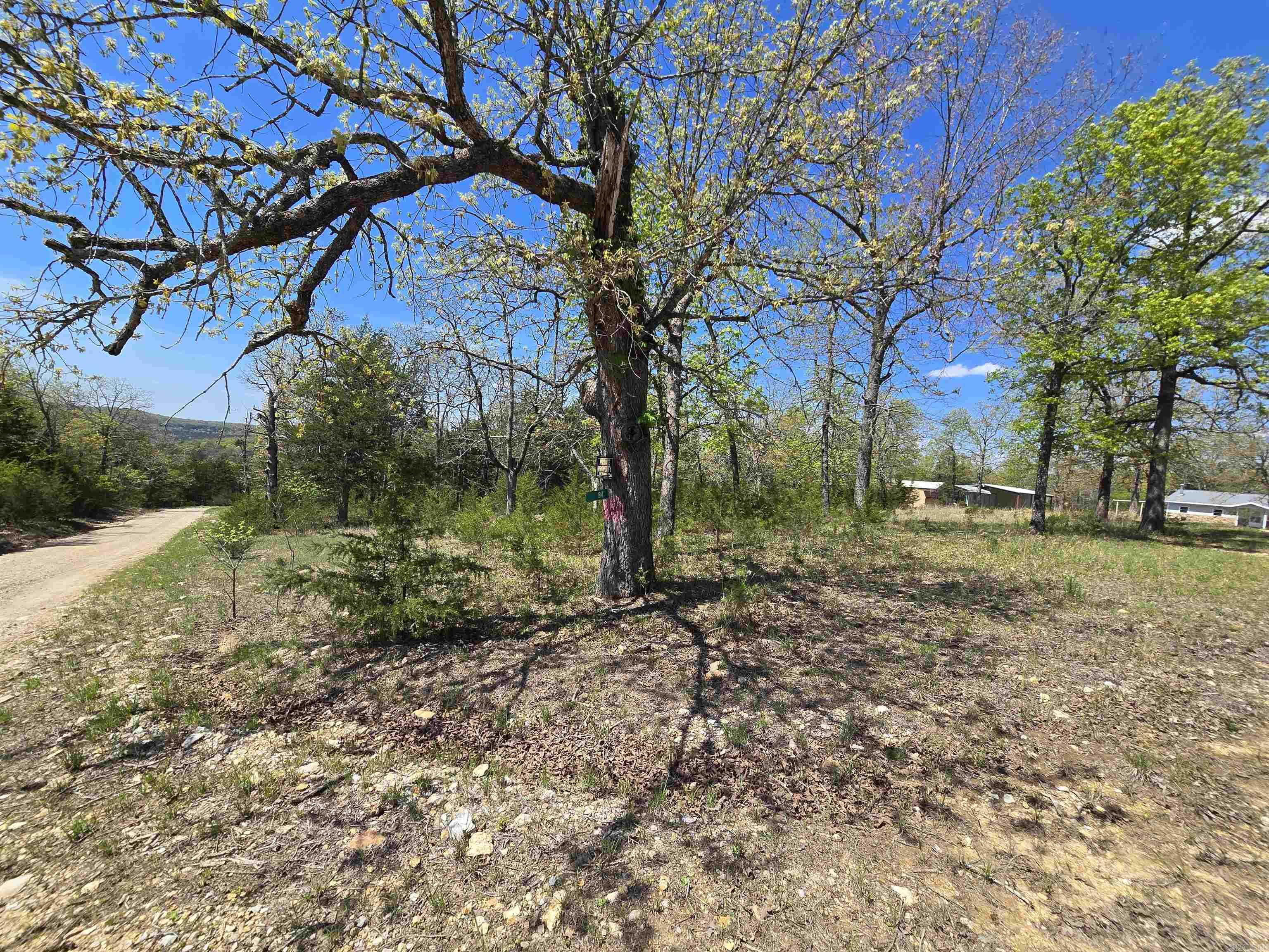 CLARKRIDGE WOODS - Residential