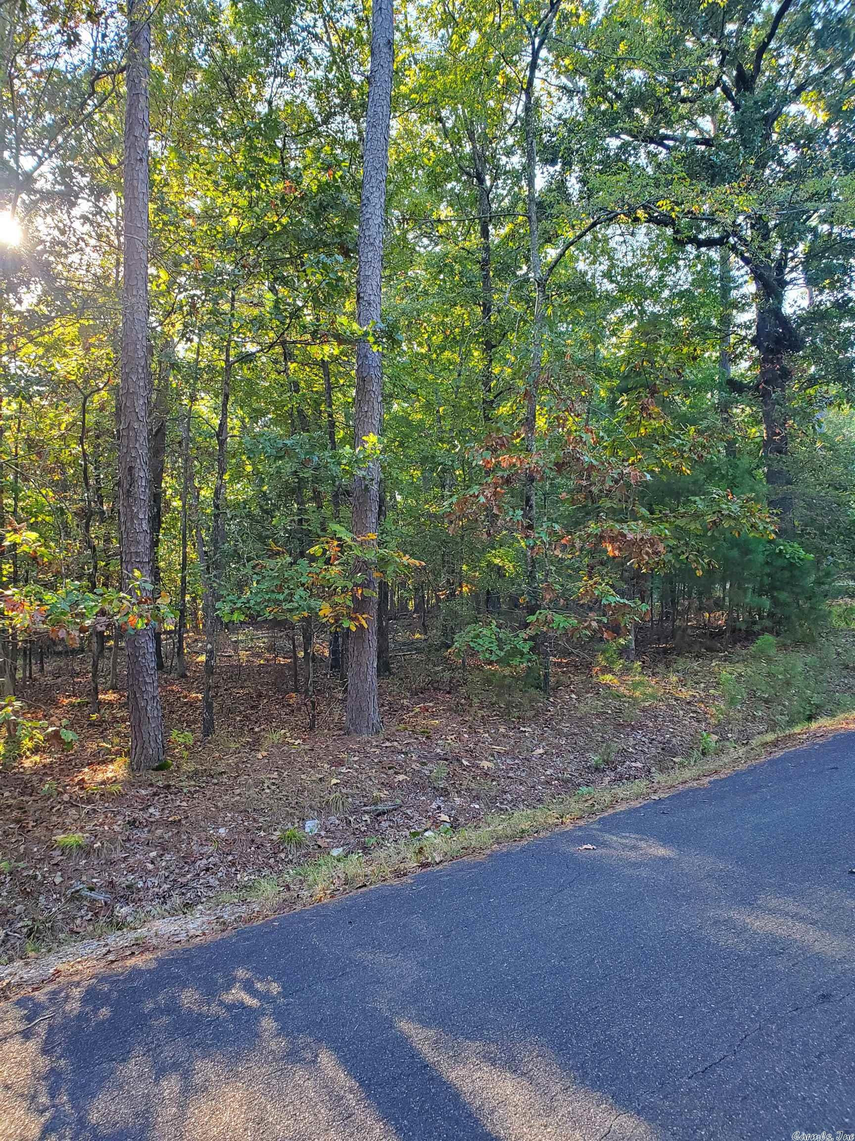 Beautiful Home Site located in Hot Springs Village in the private Diamante Subdivision, Country Club. Diamante is home to an award winning #3 ranked golf course in Arkansas by Golf Digest and amenities include world class tennis, private pool and a wide variety of social events. HS Village is the largest gated community in the country, 26000 acres, miles of walking trails, 11 Lakes, 8 additional golf courses. Close to historic Hot Springs. Gold status