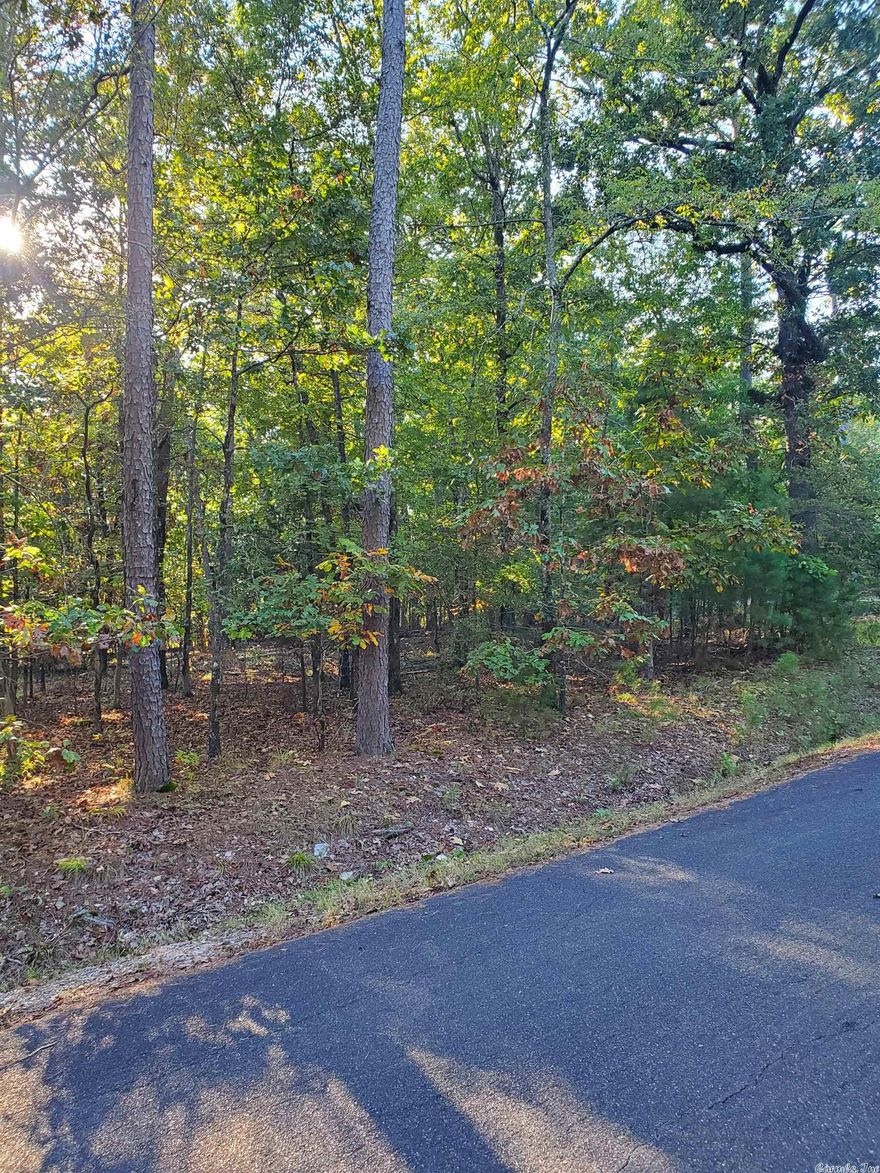 Beautiful Home Site located in Hot Springs Village in the private Diamante Subdivision, Country Club. Diamante is home to an award winning #3 ranked golf course in Arkansas by Golf Digest and amenities include world class tennis, private pool and a wide variety of social events. HS Village is the largest gated community in the country, 26000 acres, miles of walking trails, 11 Lakes, 8 additional golf courses. Close to historic Hot Springs. Gold status
