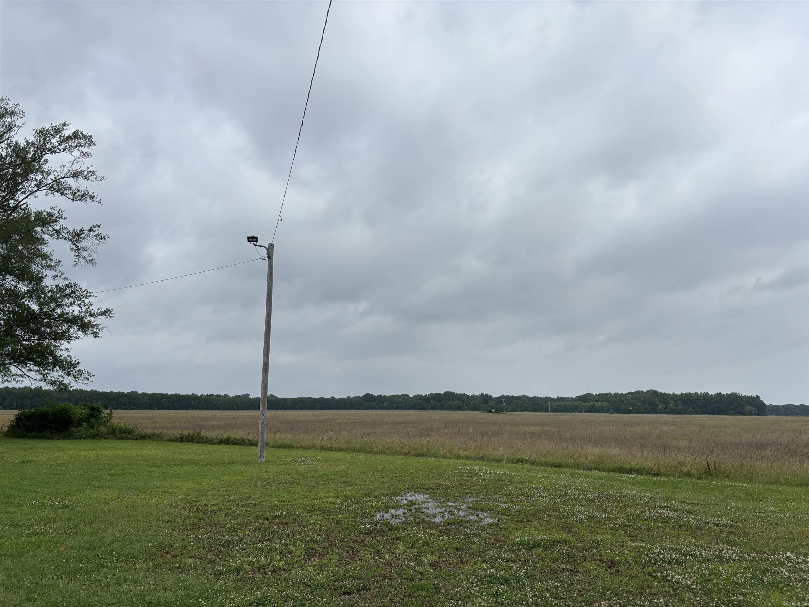 178+- acres Soybean, and Corn row crop farm with two 3-Phase electric submersible pump wells located in middle of property. Access to Bayou Bartholomew runs along the entire west side of the farm. Outstanding Duck and deer hunting with farm income makes for a great investment. The farm is made up of predominant Rilla Silt loam suitable for cotton, corn, soybeans, grazing grasses, and wheat. The farm is well drained and is ready for new owners. Located just north of Star City on highway 425. Access is Anchor Driv on the South and farm road on the north.