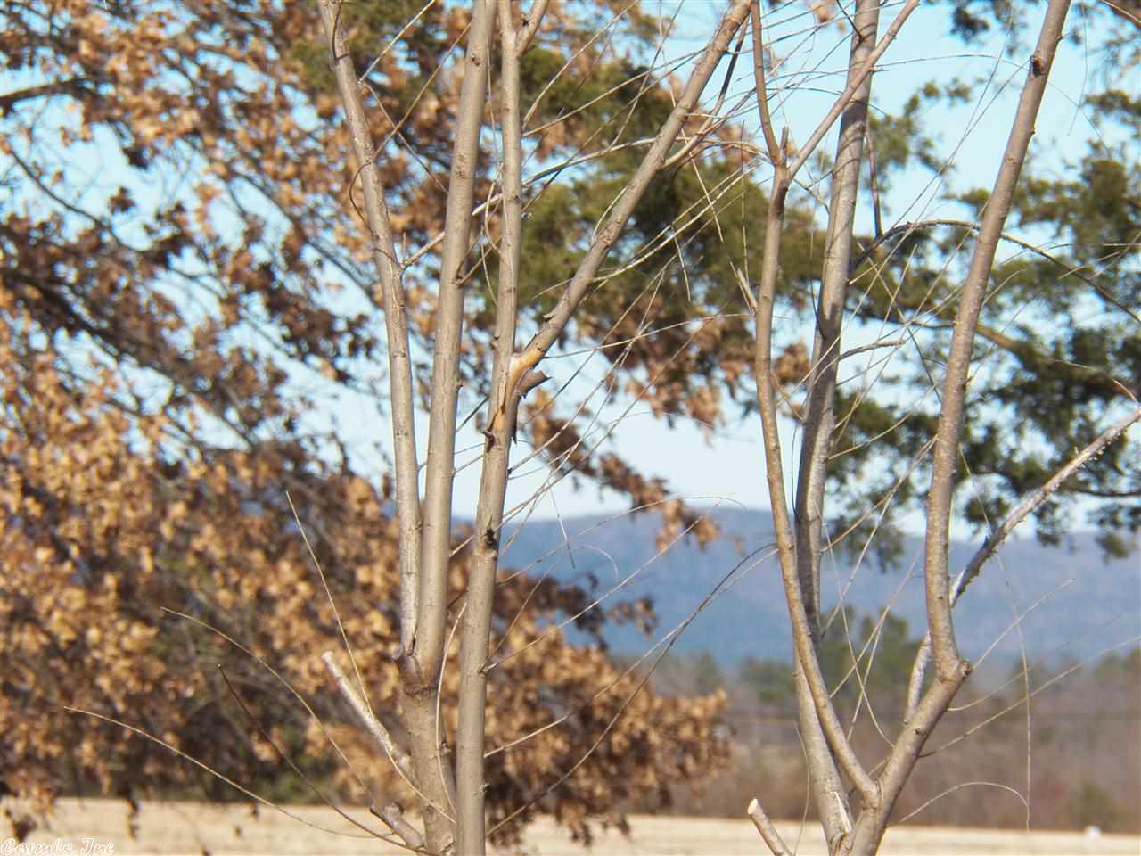 Lake View - Residential