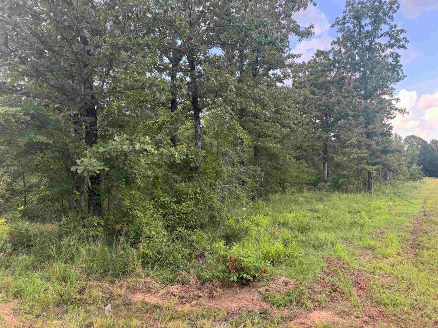 Check out this beautiful acreage ready to build that dream home!!  Located in the country, sits this 4 acre parcel untouched and ready for your creativity.  Several mature trees with a creek on the back side of property makes the perfect setting.  Property is on a culdesac drive so very limited traffic on this street for peace and quiet!  Electric and water at the road... Take a drive out and bring your house plans to make this home!