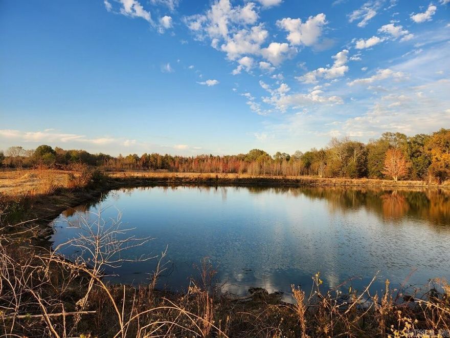 21.69 ACRES OF AG LAND IN MORO, AR.  GREAT LAND FOR CROP, HUNTING, CAMPING, ETC.  NEW WELL INSTALLED, NEVER USED.  HAS A POND.  NOT CLEARED, READY TO FARM.  NEIGHBORS FARMING CORN.