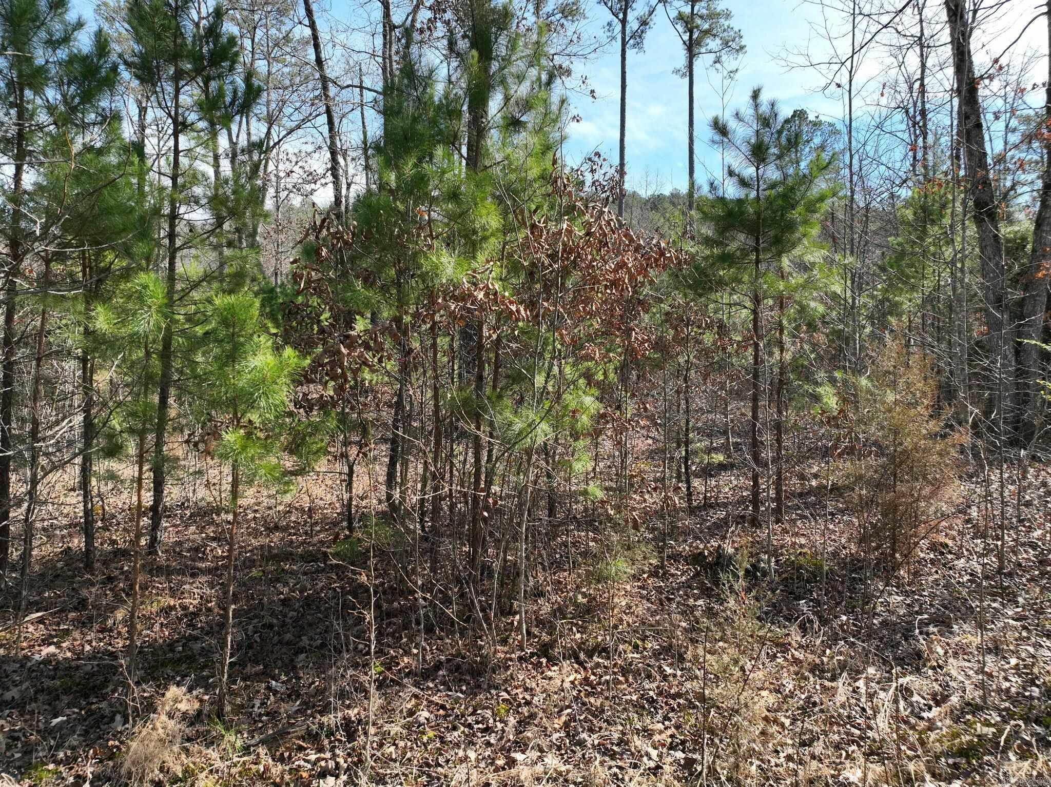 Big Fork Area - Land