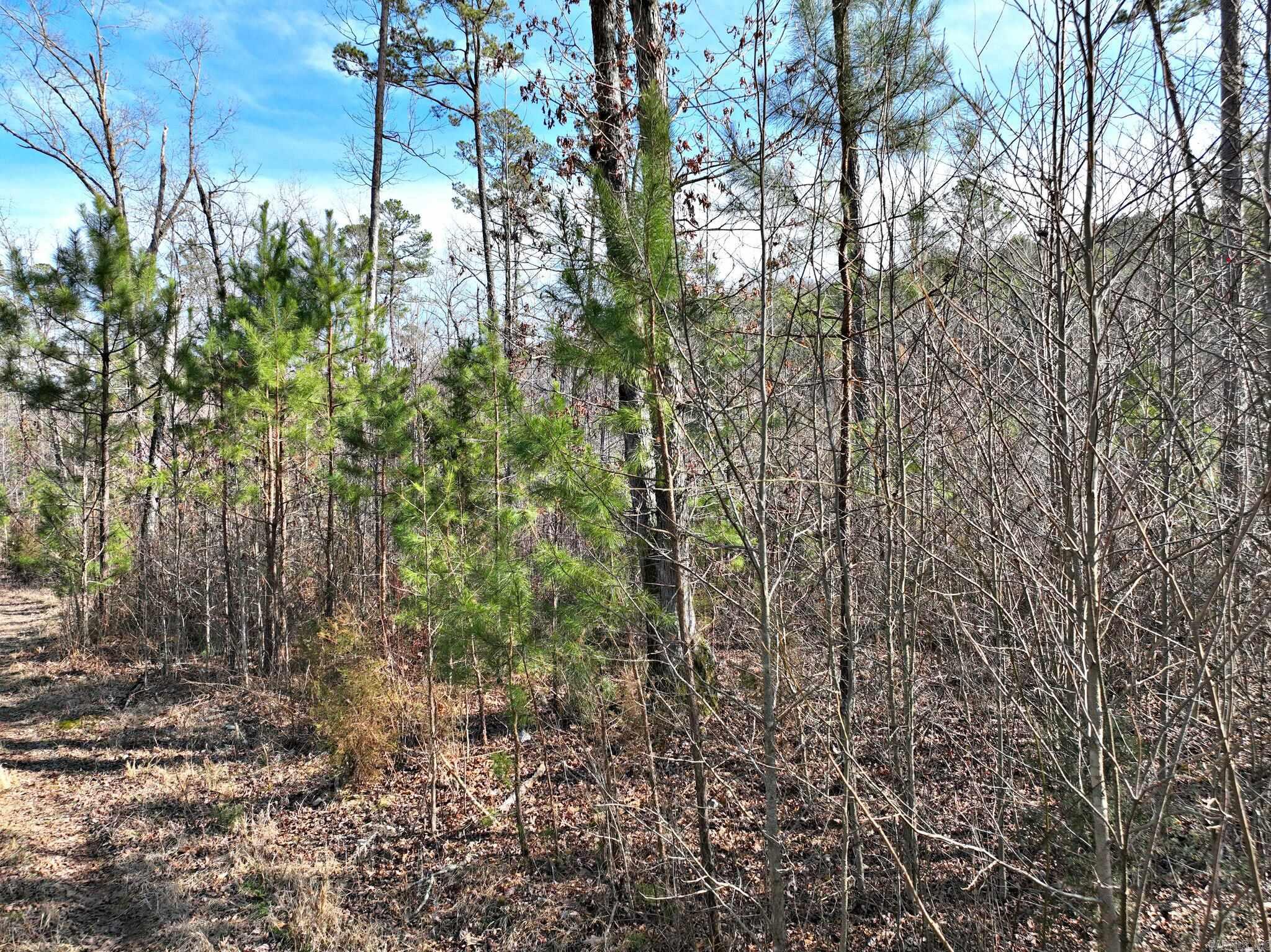 Big Fork Area - Land