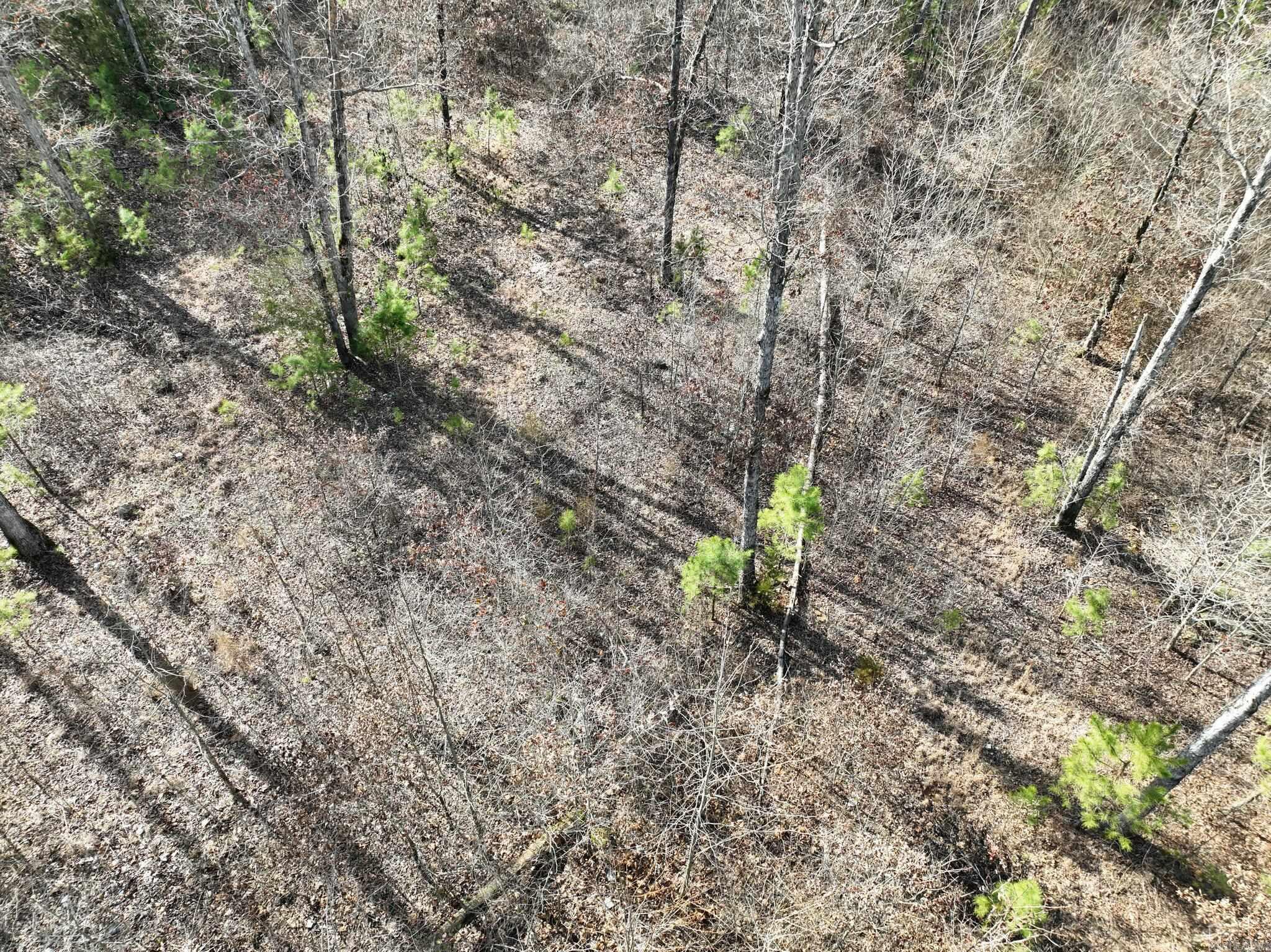 Big Fork Area - Land