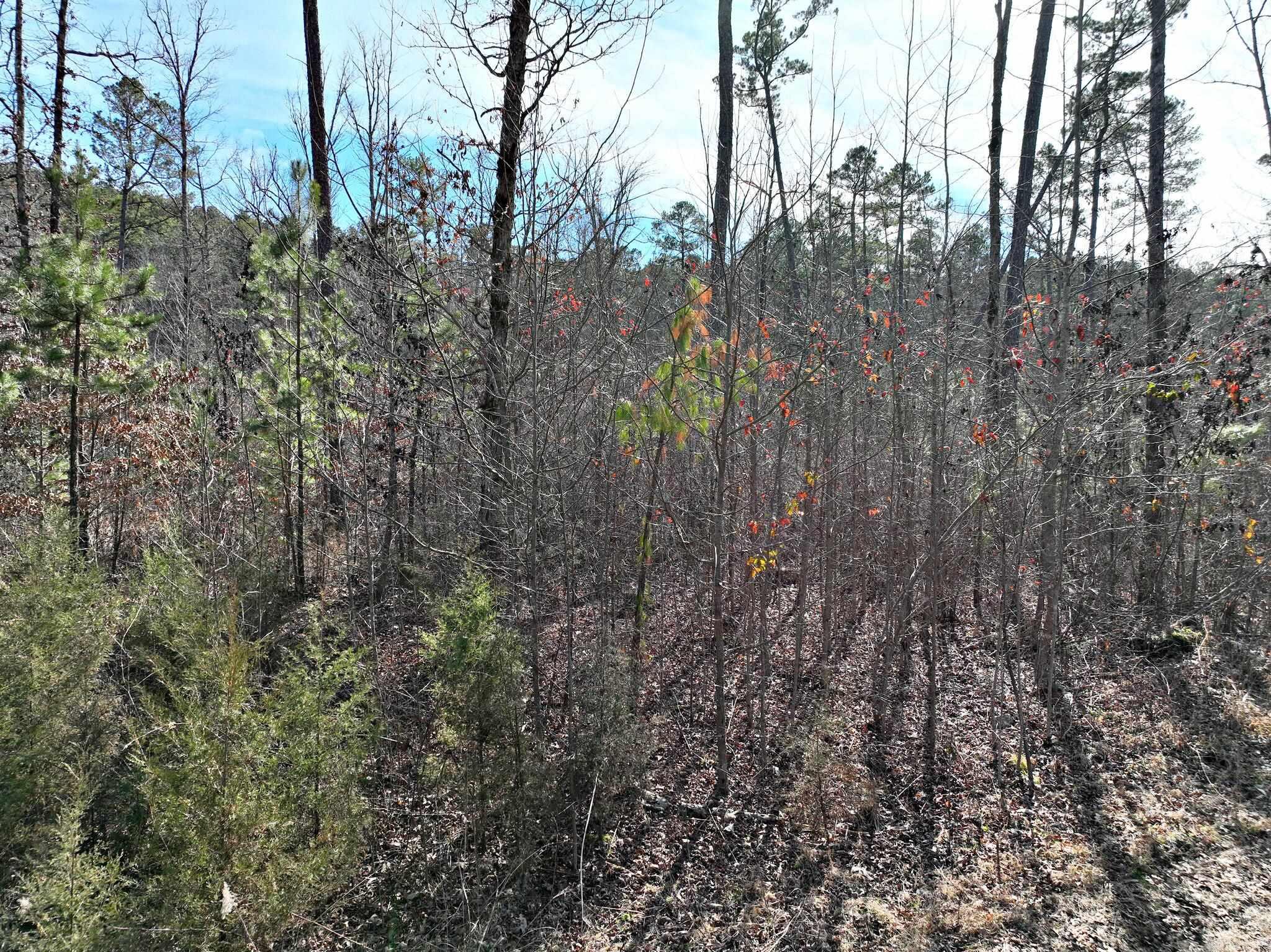 Big Fork Area - Land