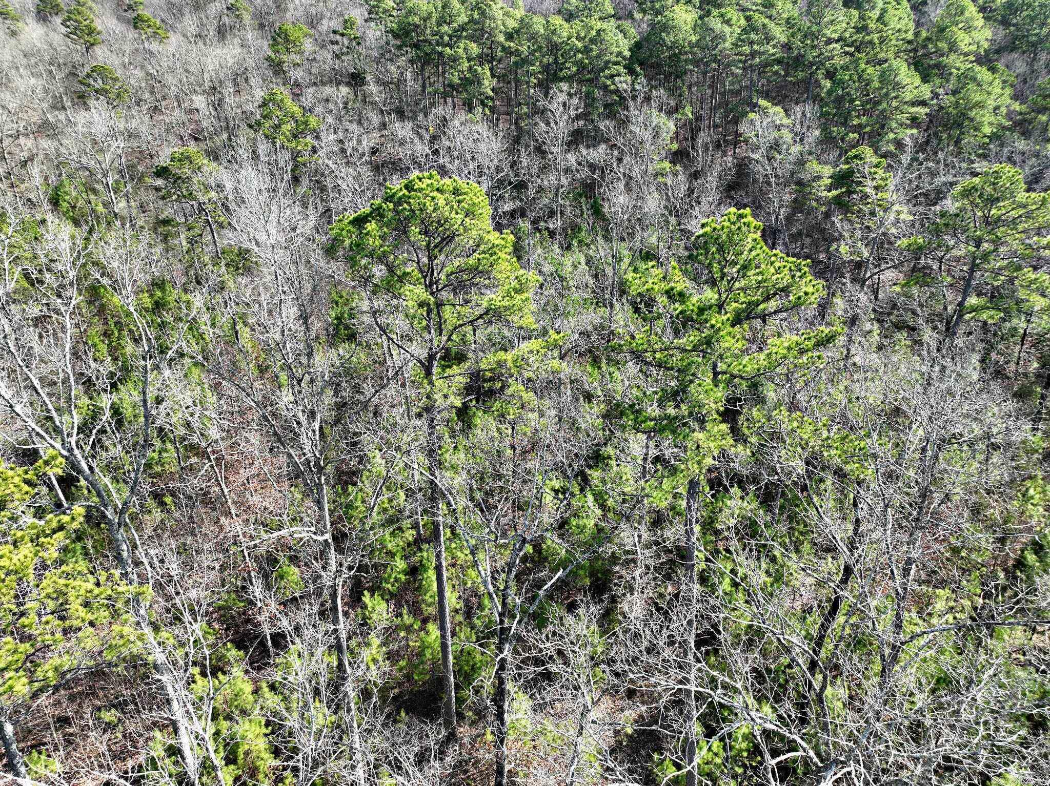 Big Fork Area - Land