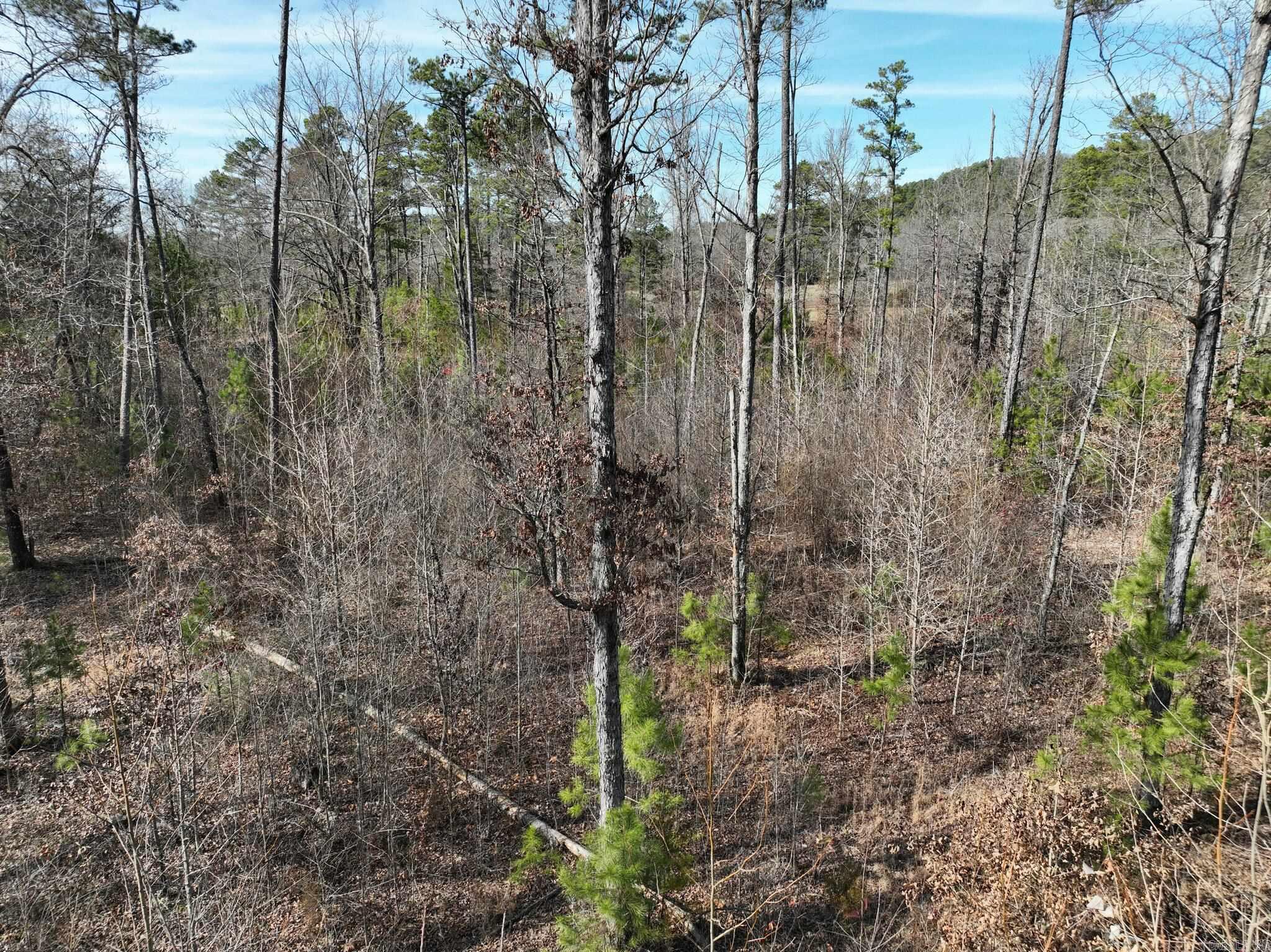 Big Fork Area - Land