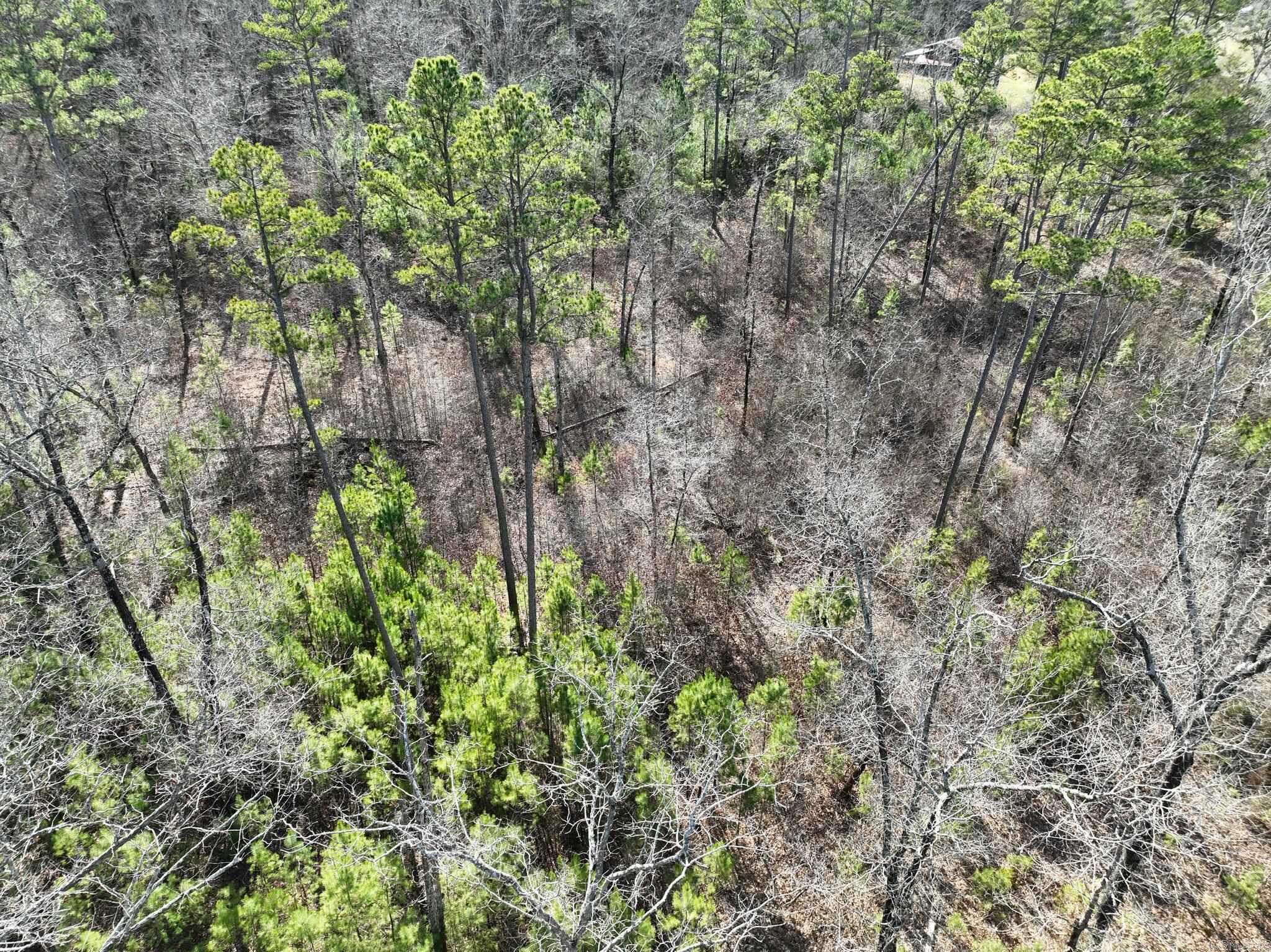 Big Fork Area - Land