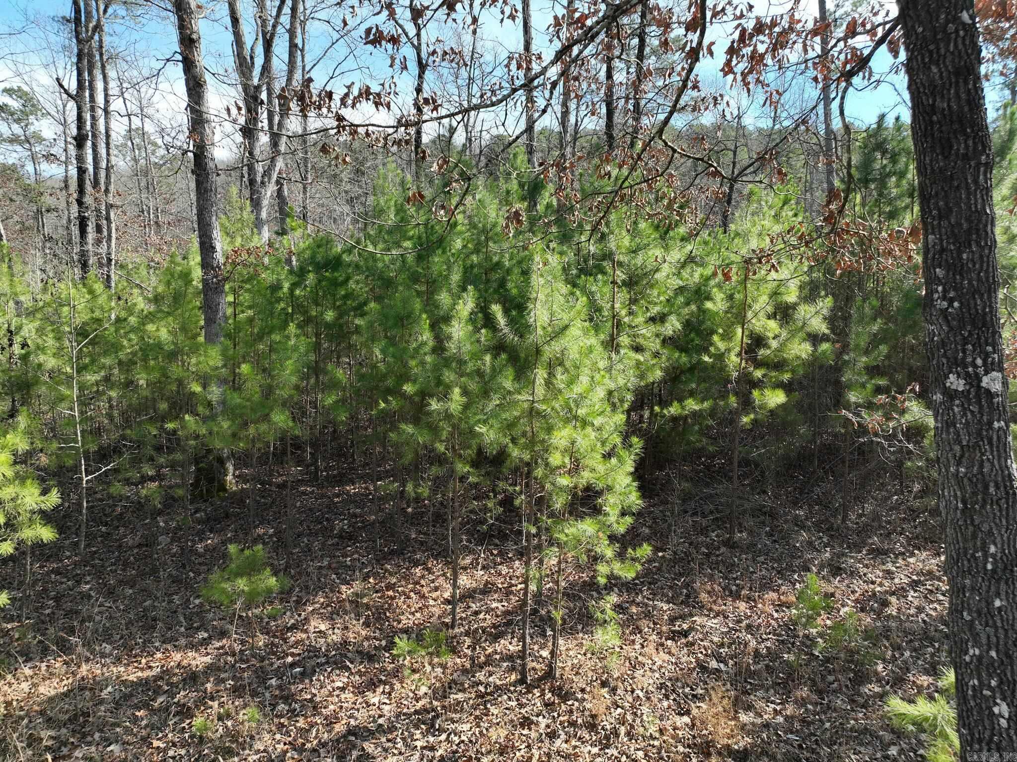 Big Fork Area - Land