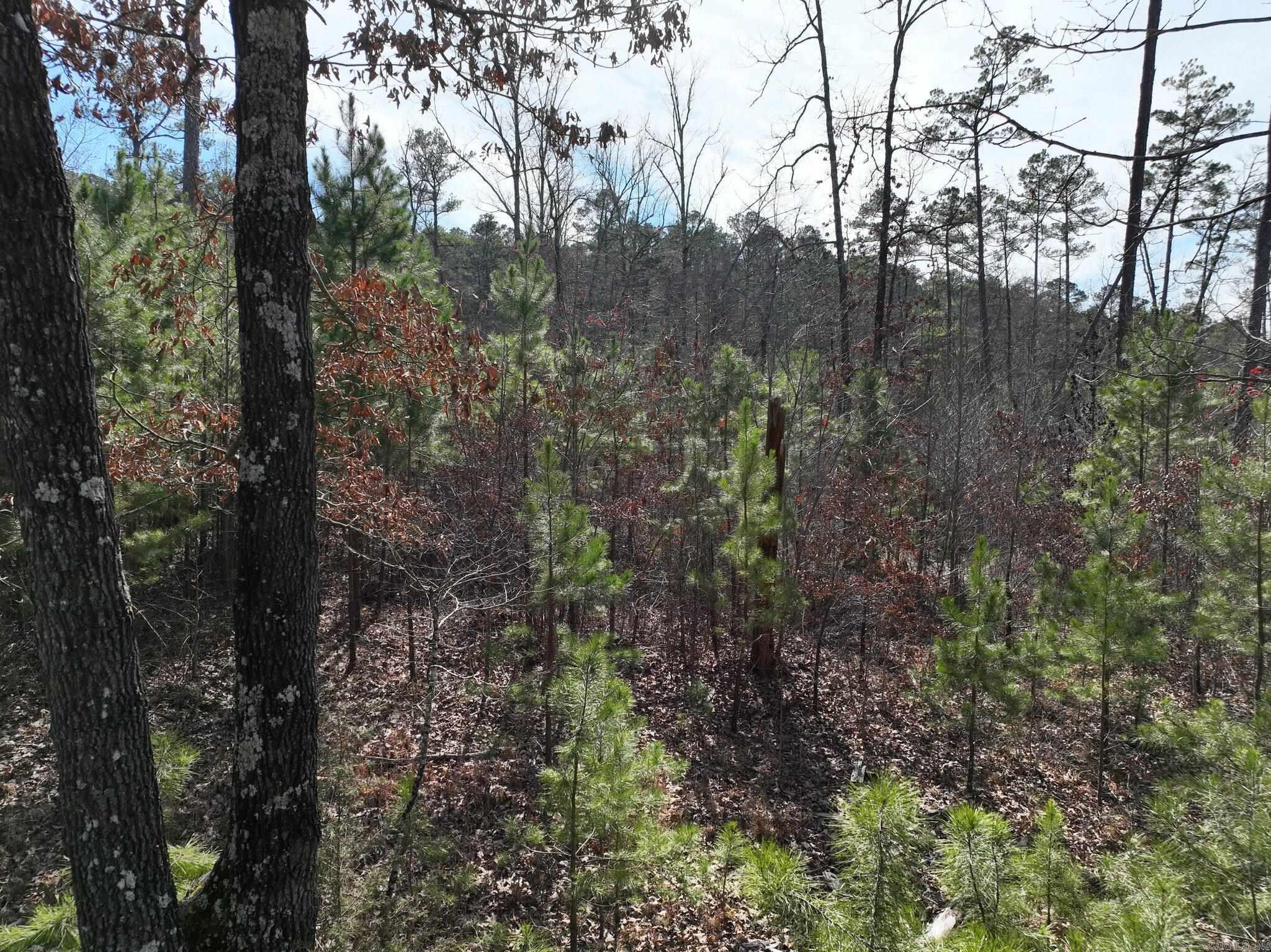 Big Fork Area - Land