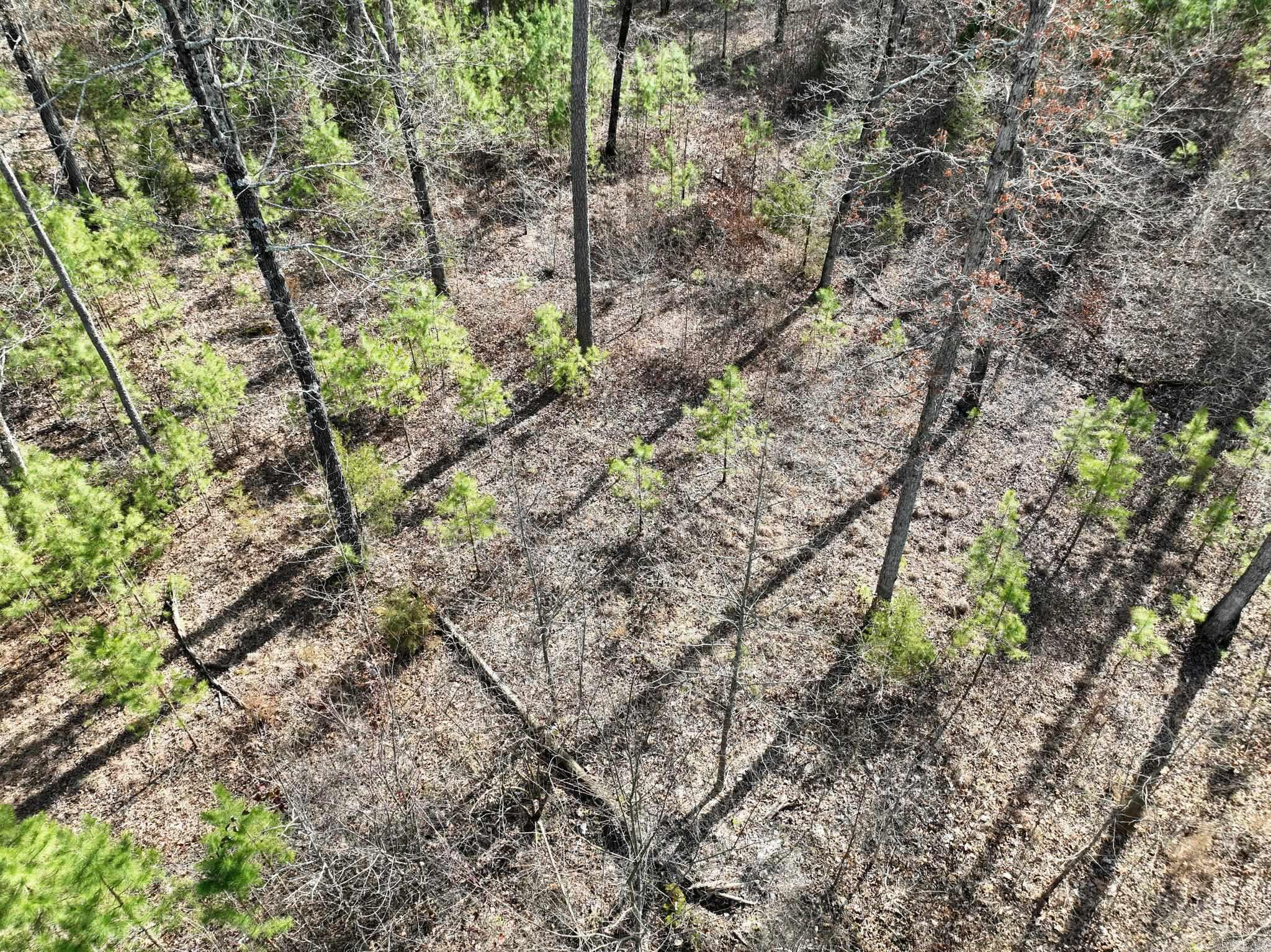 Big Fork Area - Land