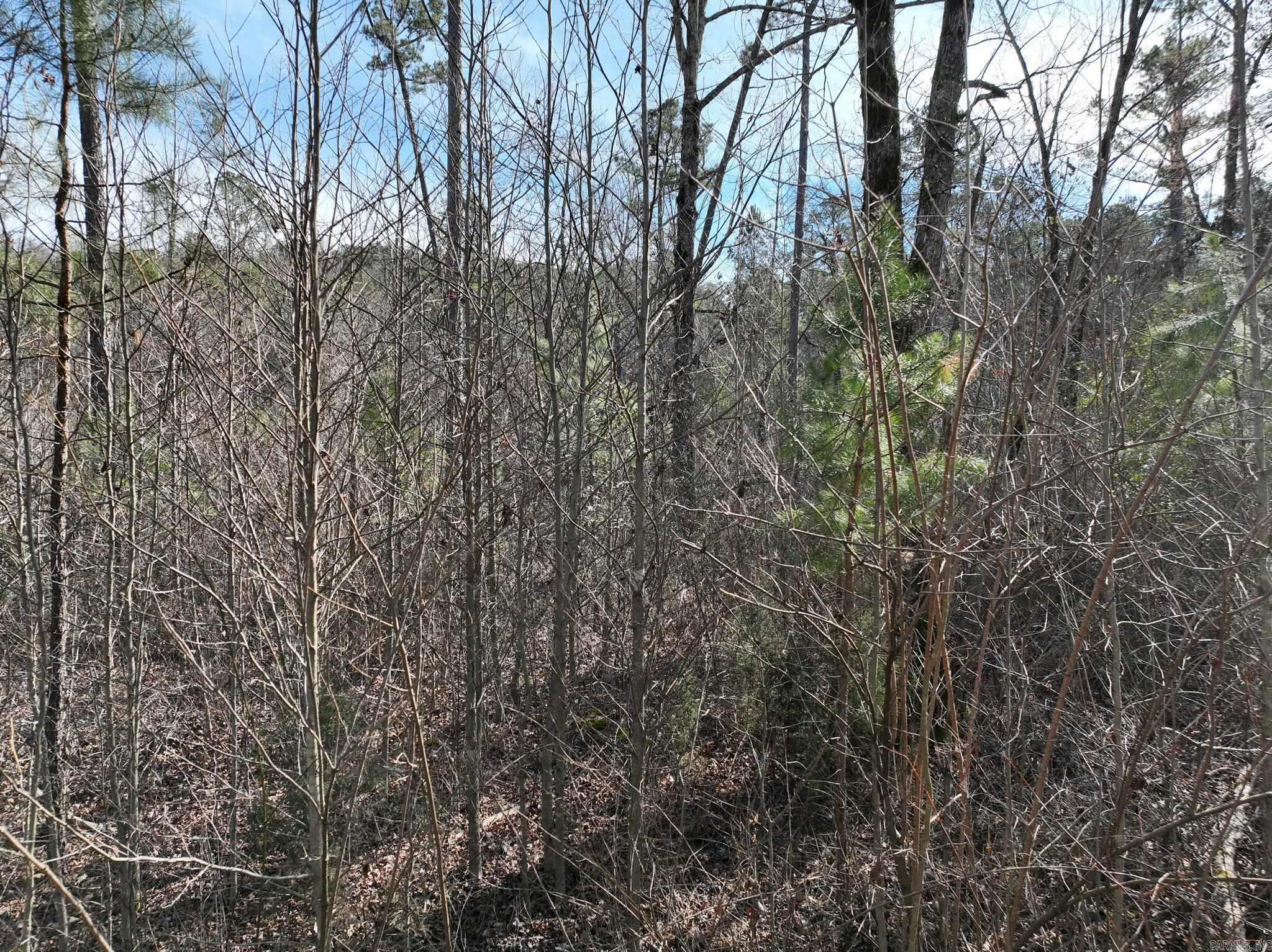 Big Fork Area - Land