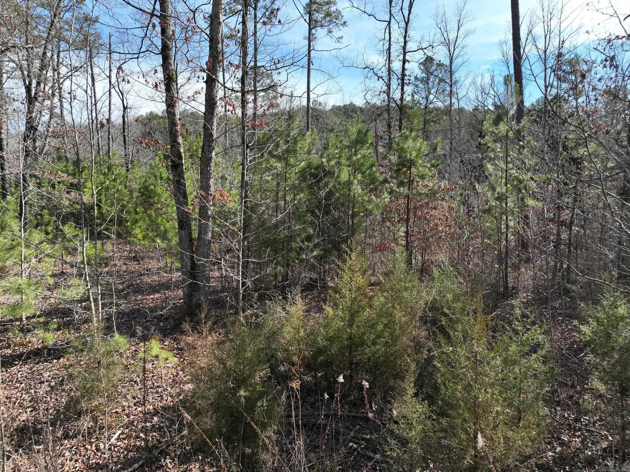 Big Fork Area - Land