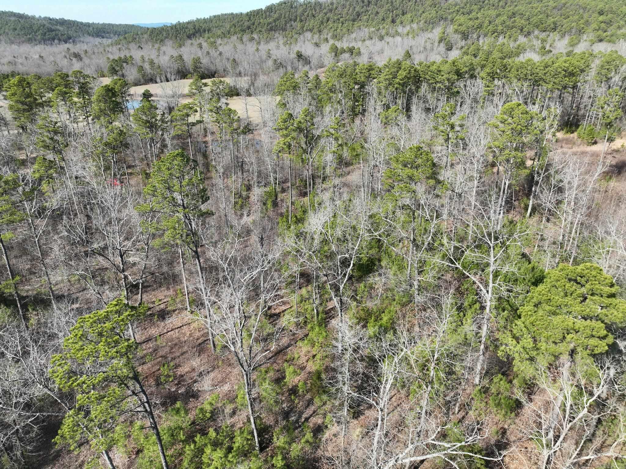 Big Fork Area - Land