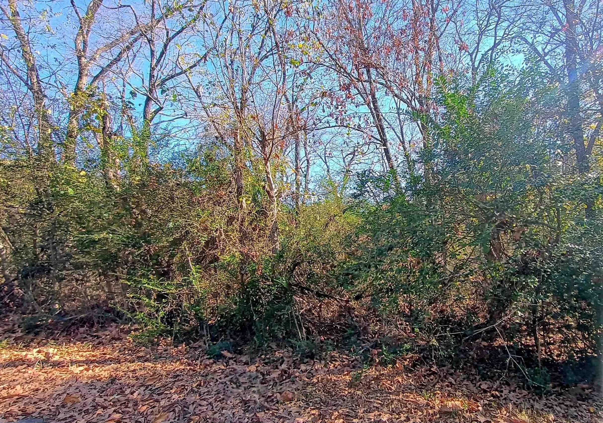 City lot with city utilities at the street. Convenient location close to the school, hospital, restaurants, and Oaklawn Racing and Gaming.