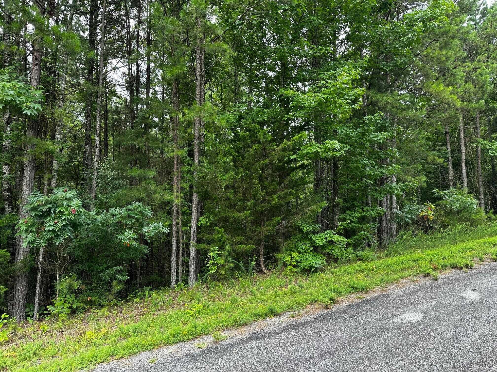 Great lot for building. Lake front. Pictures taken from lake are below the white line. Nice location. Utilities are underground. Mineral rights do not convey.