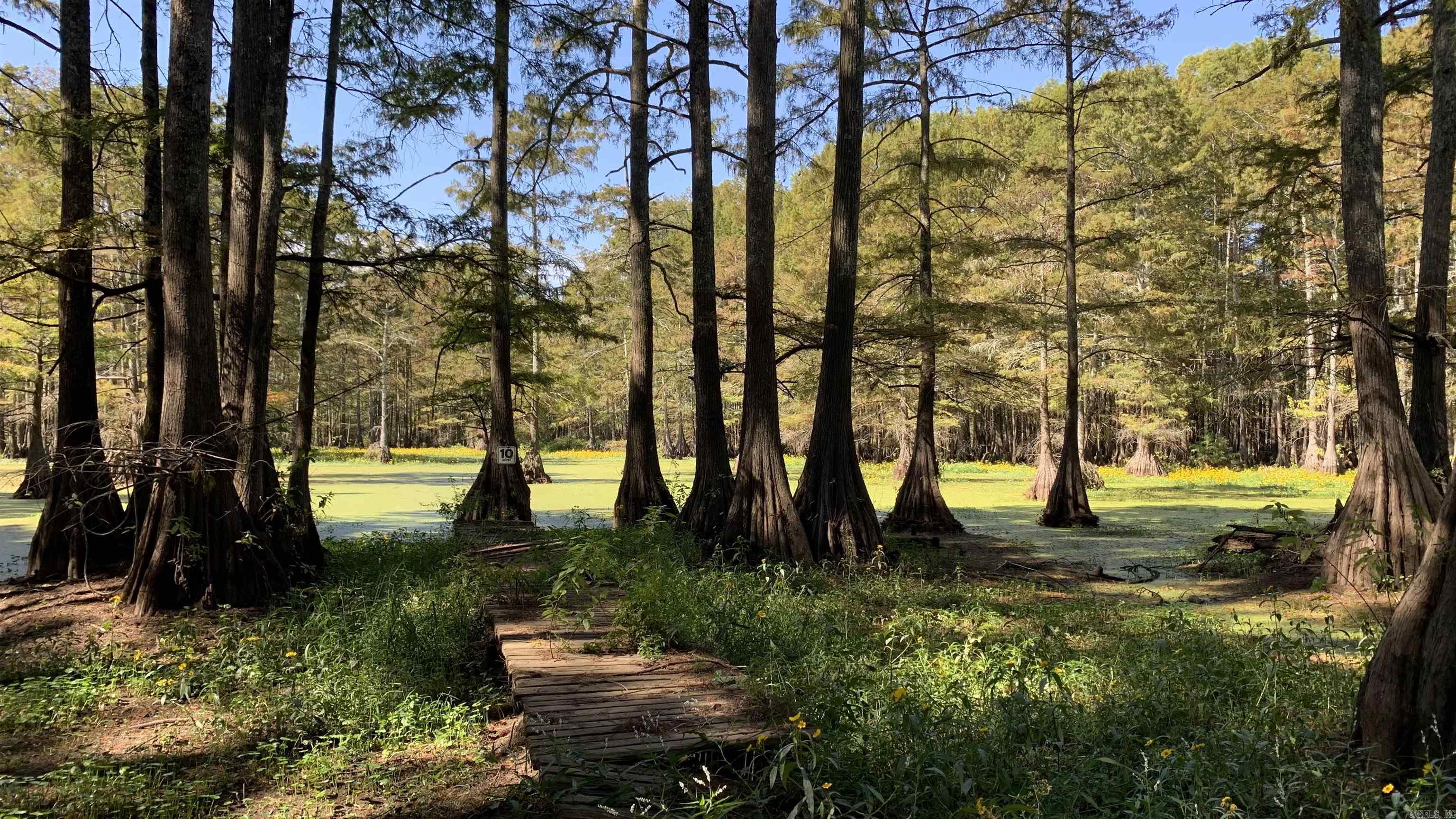 This 2,450-acre forested property consists of huge hardwood bottomlands, plantation hardwood and open food plots that have been managed for its wildlife since the 1940's. This land for sale is located just south of Scott, AR at Bredlow Corner and is 30 minutes from downtown Little Rock. This tract contains over 1,000 acres of massive hardwood forest, similar to that found only in National Parks and Wildlife Refuges. There is another 1,000 acres of bottomlands that includes large cypress filled flats.