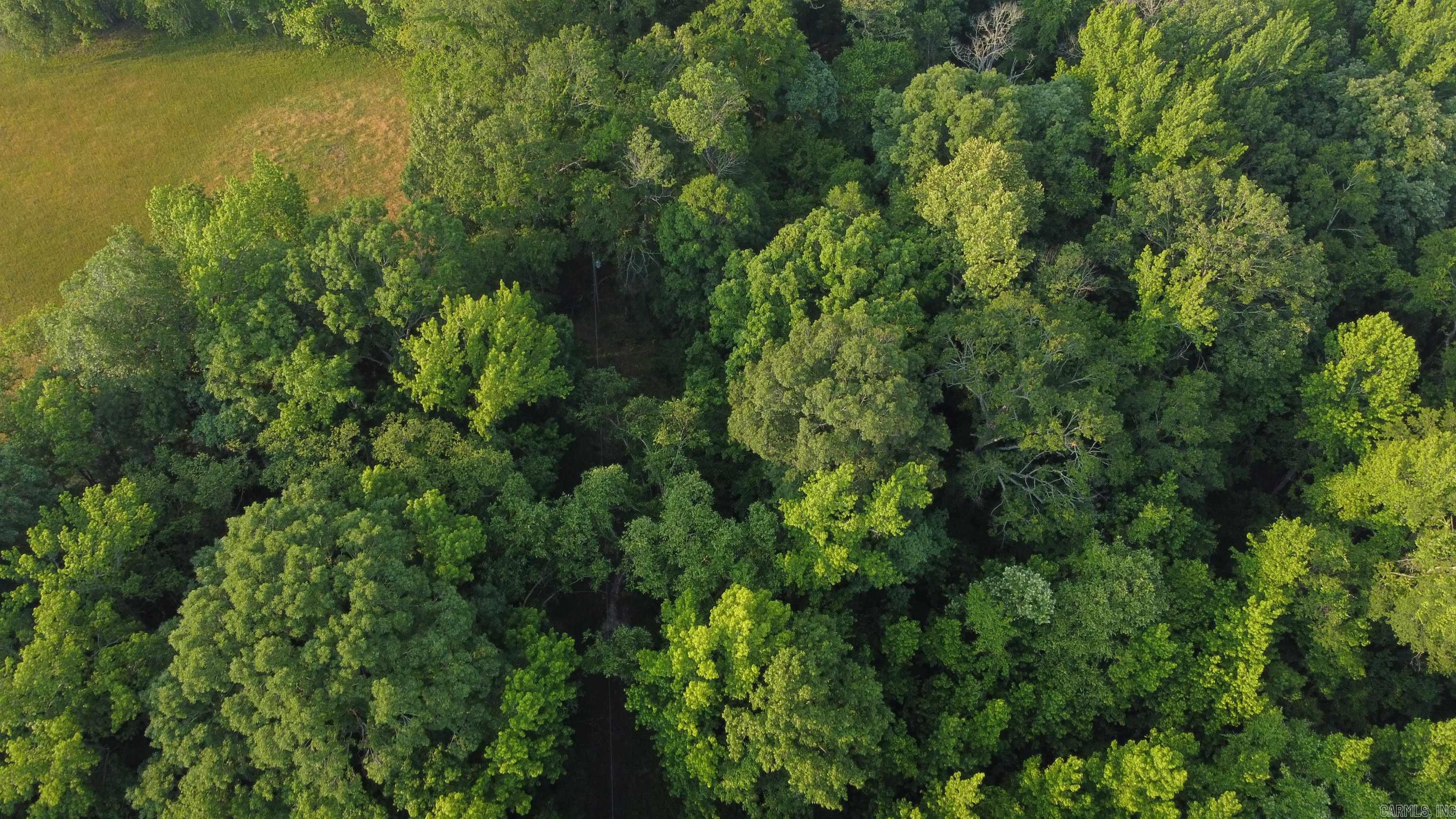 Not in Subdivision - Land