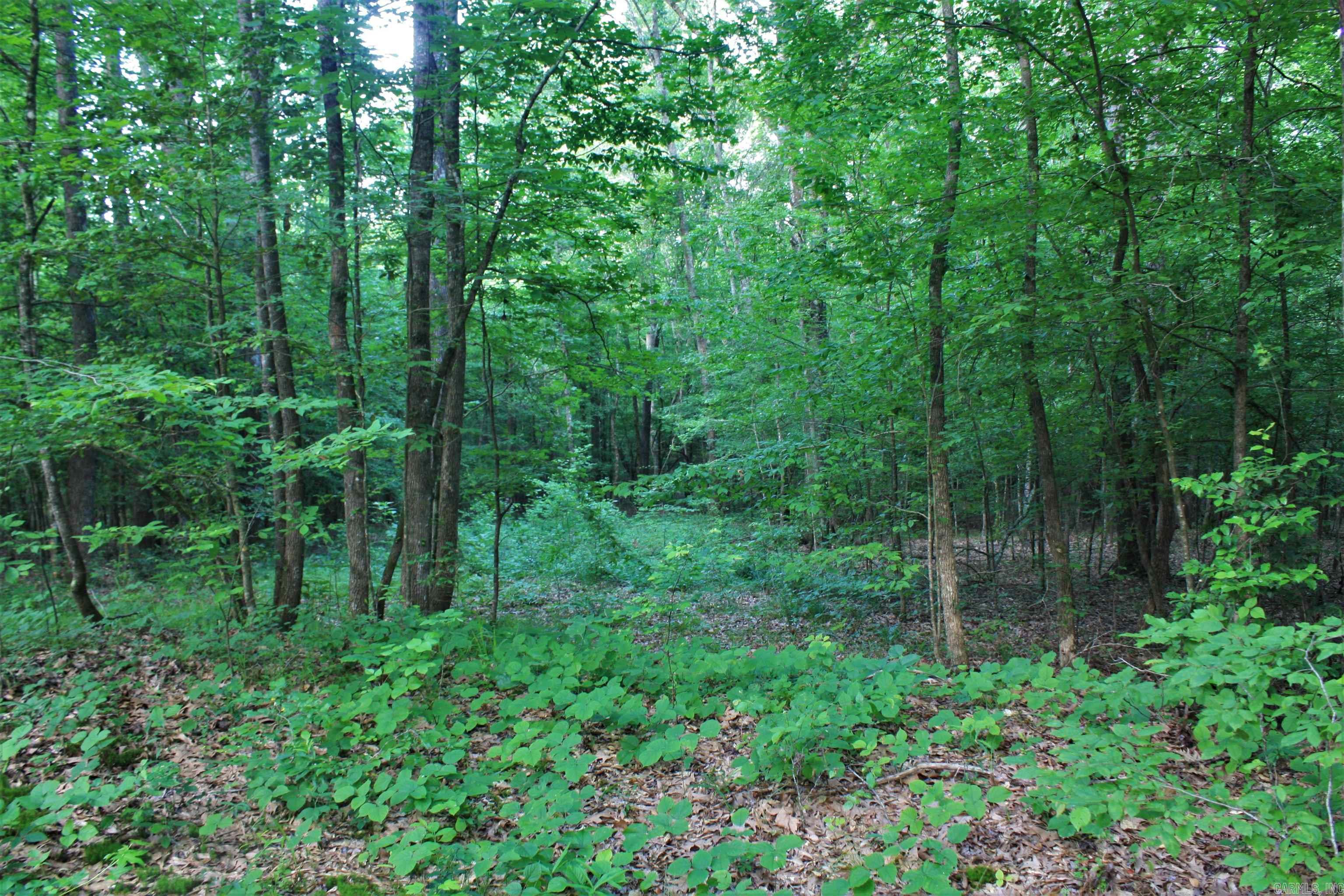 Not in Subdivision - Land