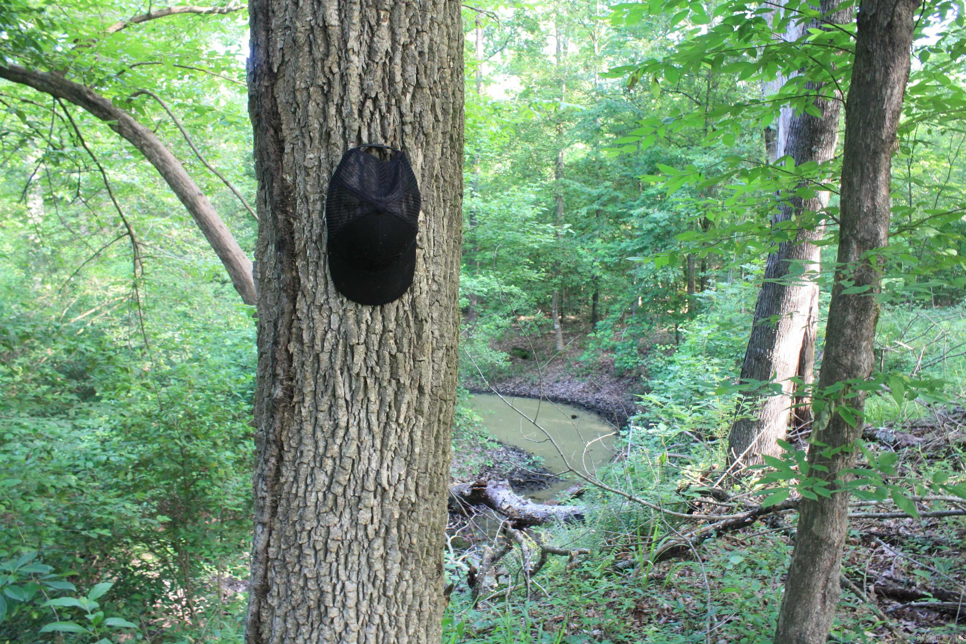 Not in Subdivision - Land