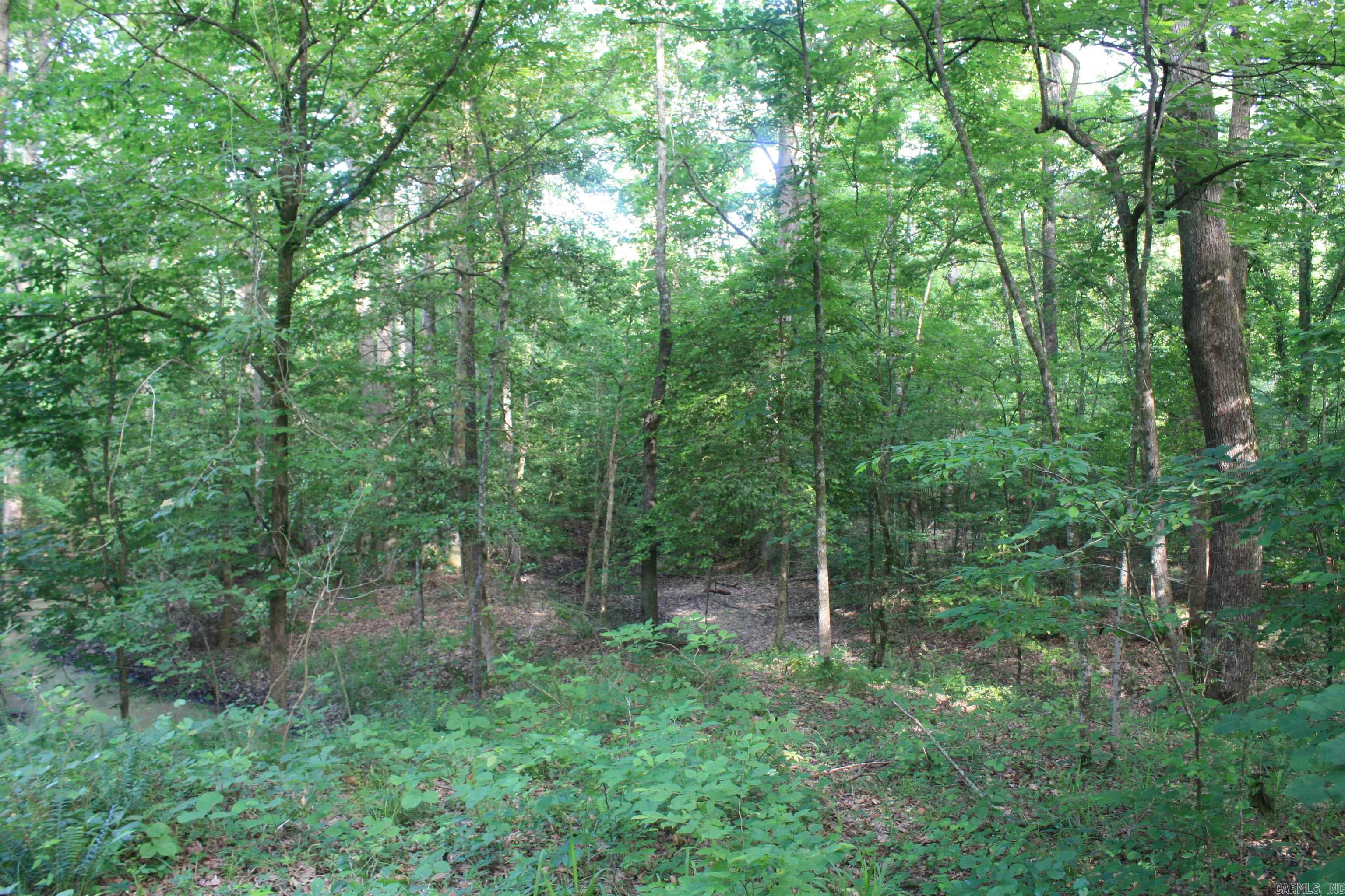 Not in Subdivision - Land