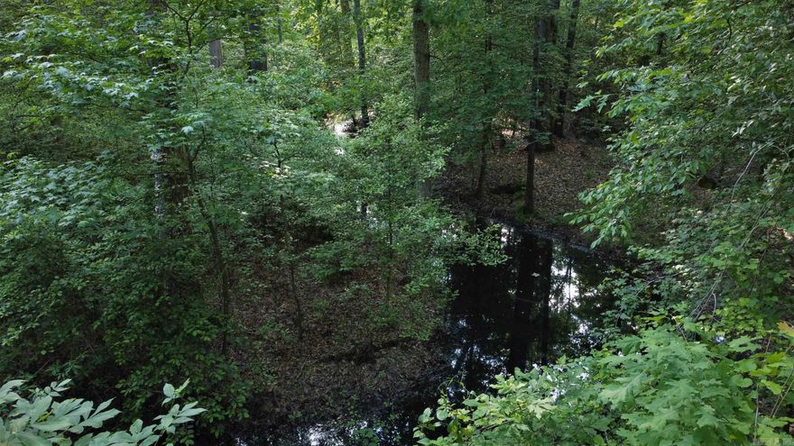 Where the blacktop turns to gravel for a very short distance, a private drive leads you into this secluded hunting oasis. Follow the trail, and it will lead you back to the hunting cabin along the creek, suitable for you and your hunting companions. Many big buck stories will be told around the campfire here. With abundant whitetail, squirrel, hogs, and turkey, opportunities are endless, and enjoyment can be extended year-round with fishing in the creek. It is truly the dream property for you and your family to enjoy, so contact the land specialists, and let the good times roll!