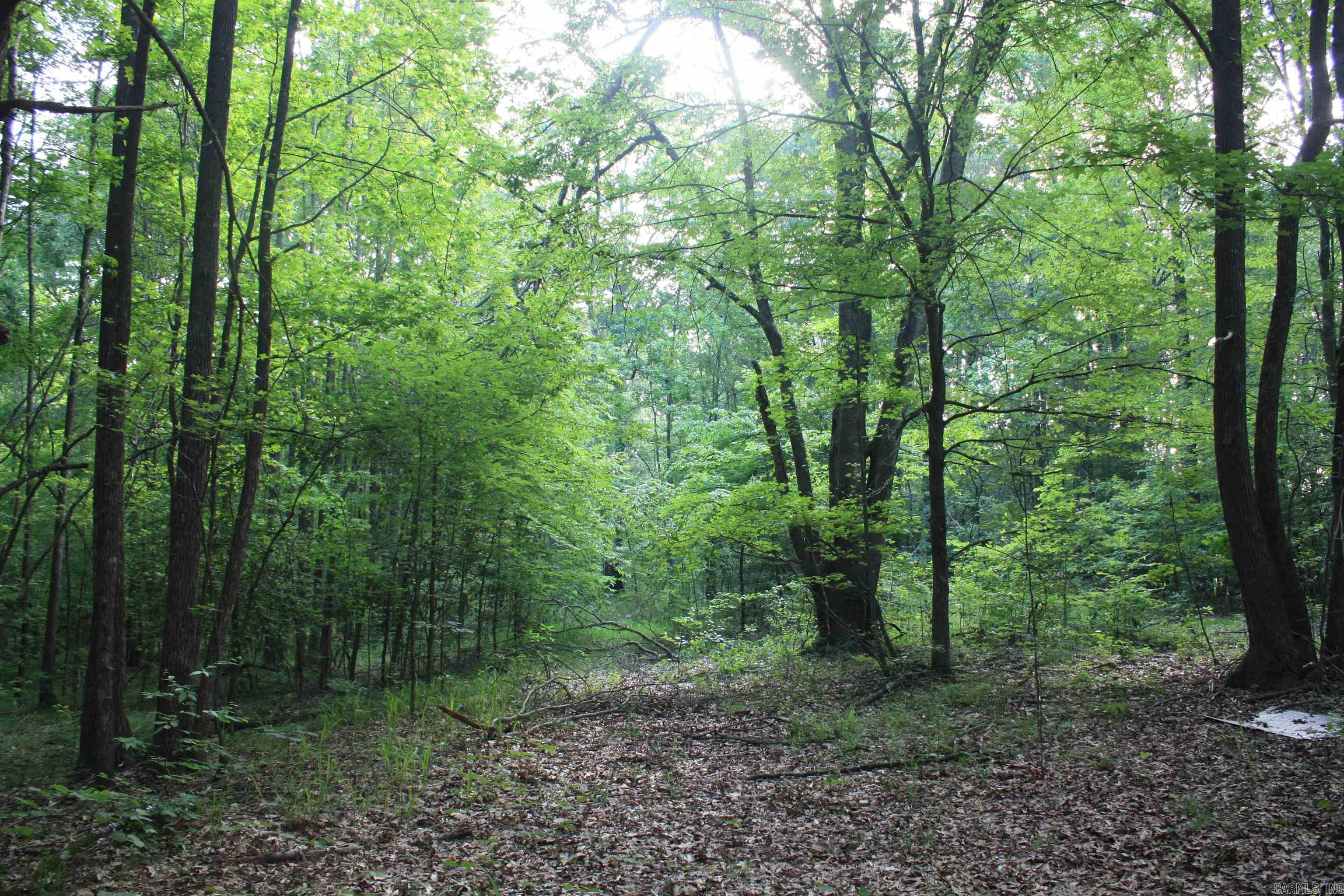 Not in Subdivision - Land