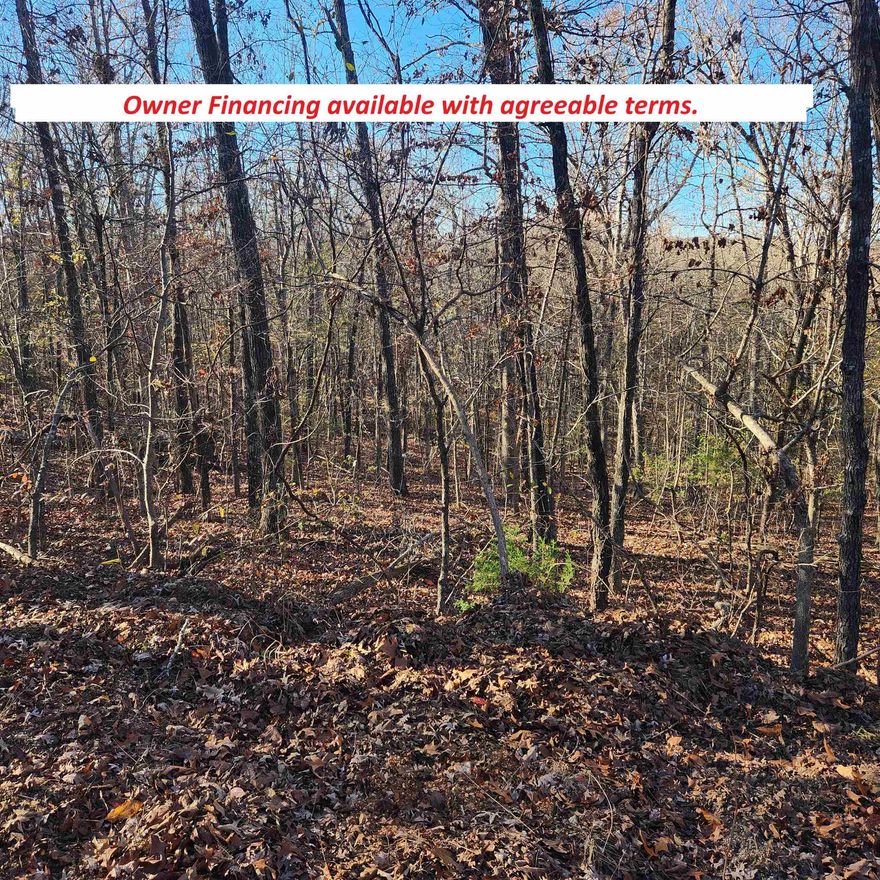 Over an acre of land comes with these 2 lots in Cherokee Village. A rare find to get 1.3+/- acres M/L with 2 lots. This secluded Cul-de-sac is just the place to build your new hill country home or cabin. Nestled in really close to the southwest fork of beautiful Lake Thunderbird. Less than a 1/4 mile away from Lamonta Park, where Right Prong and Otter Creeks meet to dump into Lake Thunderbird. This amount of land inside Cherokee Village, is a steal at this price and the location can't be beat. Come pick your spot for your new Home or Cabin. With ownership of these lots, you will have access to all the amenities of Cherokee Village such as the 7 lakes and Two 18-hole golf courses also the Thunderbird Center and swimming pool, mini golf, parks, hiking trails and don't forget about the beautiful Southfork River for fishing, kayaking or just floating down to wet your toes. Call and make it a point to come see these 2 wonderful lots. Owner Financing available with acceptable terms.