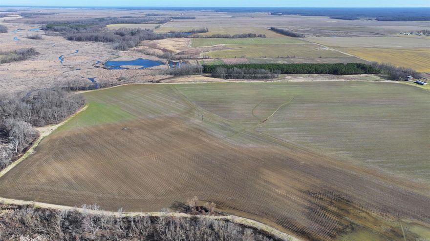 Beckwood Manor is a 198.95-acre property in eastern Arkansas County, just north of Ethel, AR. This diverse tract features tillable farmland, a reservoir, mature hardwoods, and a pine plantation, making it an exceptional property for both agriculture and recreation. Situated on Sidney Noble Lane, the property offers excellent year-round access, with water and electricity available at the camp area near the road. The 70+/- acres of farmland are currently leased to a local farmer for $7,000 annually, providing a steady income stream. An irrigation well and relift system from the reservoir ensure a reliable water source for both crop irrigation and waterfowl habitat management.