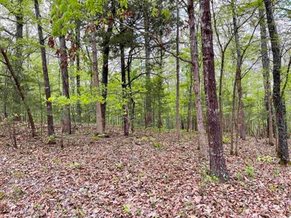 Acreage for sale on Timbercrest Road, south of Viola in Fulton County Arkansas. NO RESTRICTIONS, MAINTAINED COUNTY ROAD and ELECTRICITY is available nearby. 10.21 acres +/- in the rolling hills of North Arkansas. Mostly wooded with lots of hard wood, cedar and I spotted some pretty dogwood which is popular in the spring of the year. Build your new home or enjoy a weekend getaway hunting deer, squirrel, turkey or small game on the property. Located on a maintained county road and a short drive to the Norfork Lake for fishing or swimming and Mtn Home for shopping.
