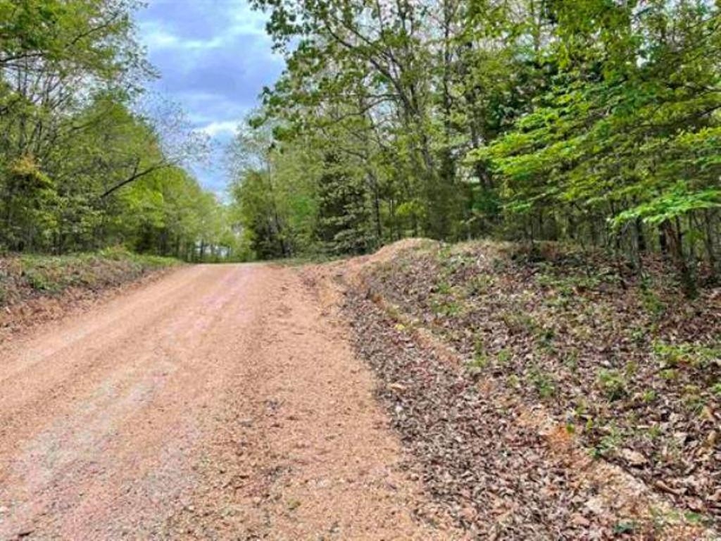 TAYLOR FOSTER BRANCH - Land