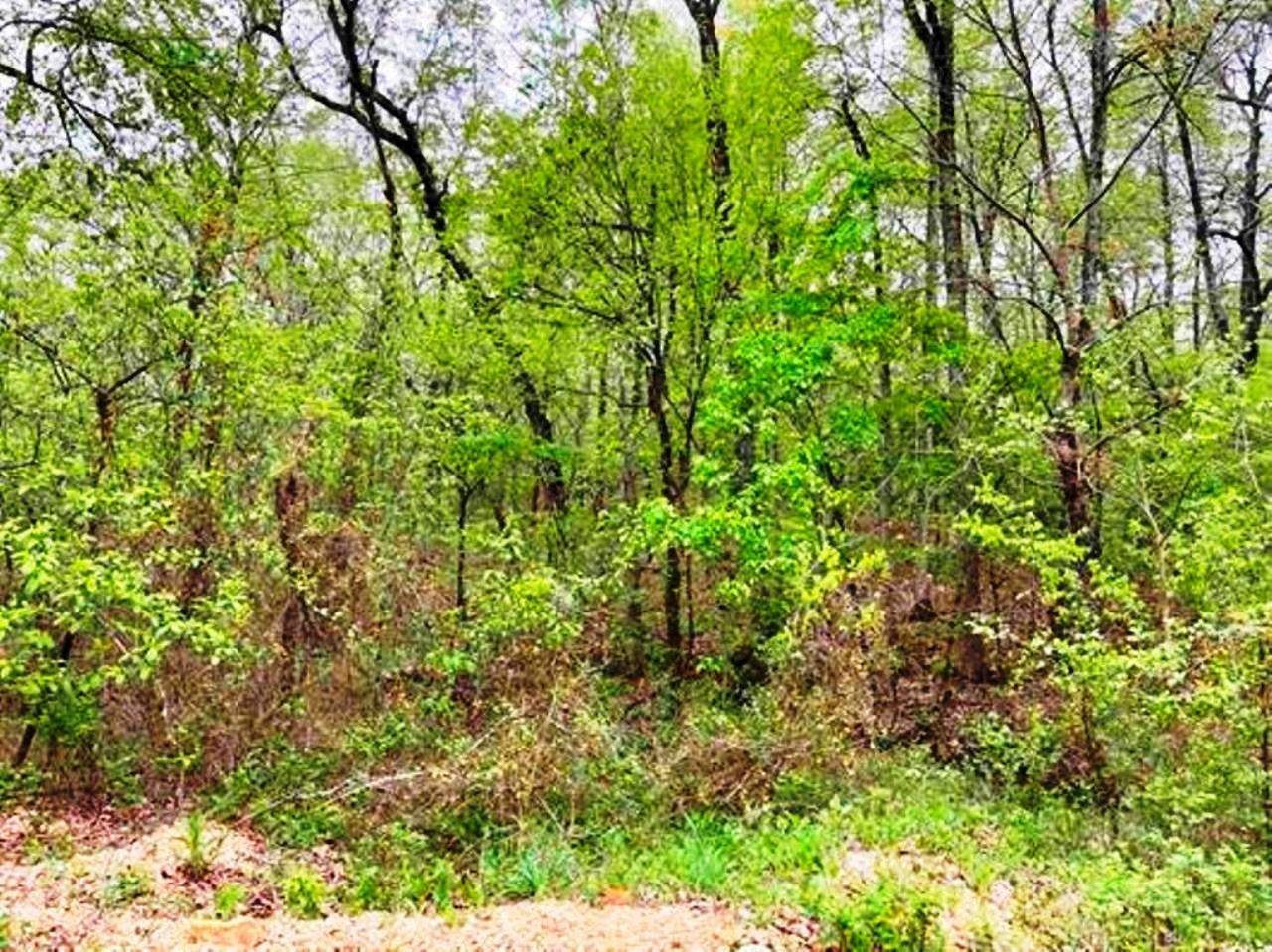 TAYLOR FOSTER BRANCH - Land