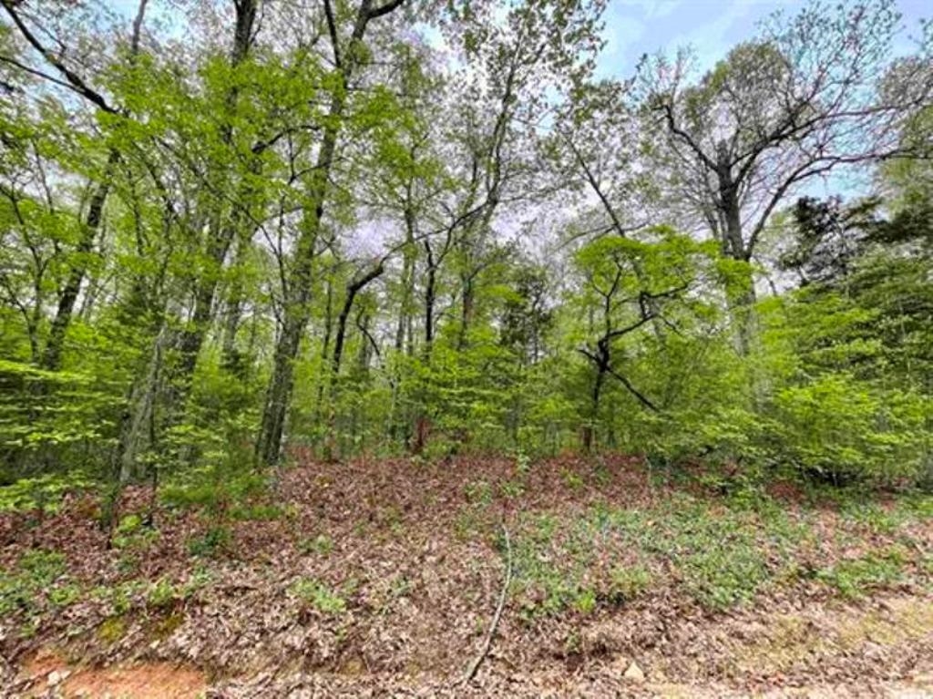 TAYLOR FOSTER BRANCH - Land