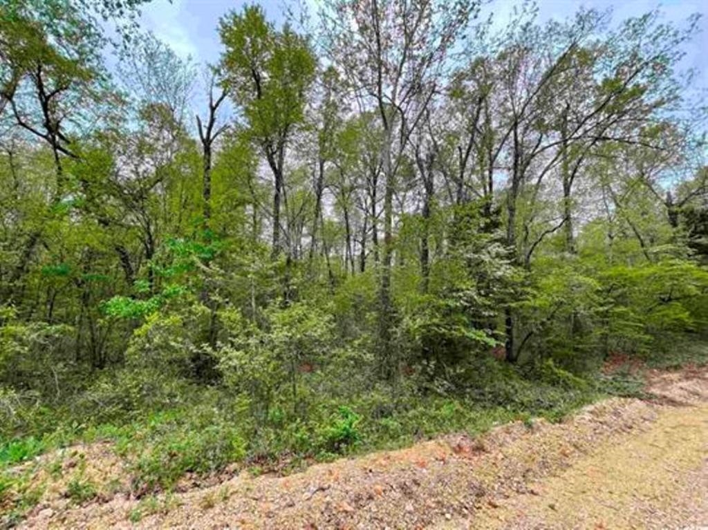 TAYLOR FOSTER BRANCH - Land