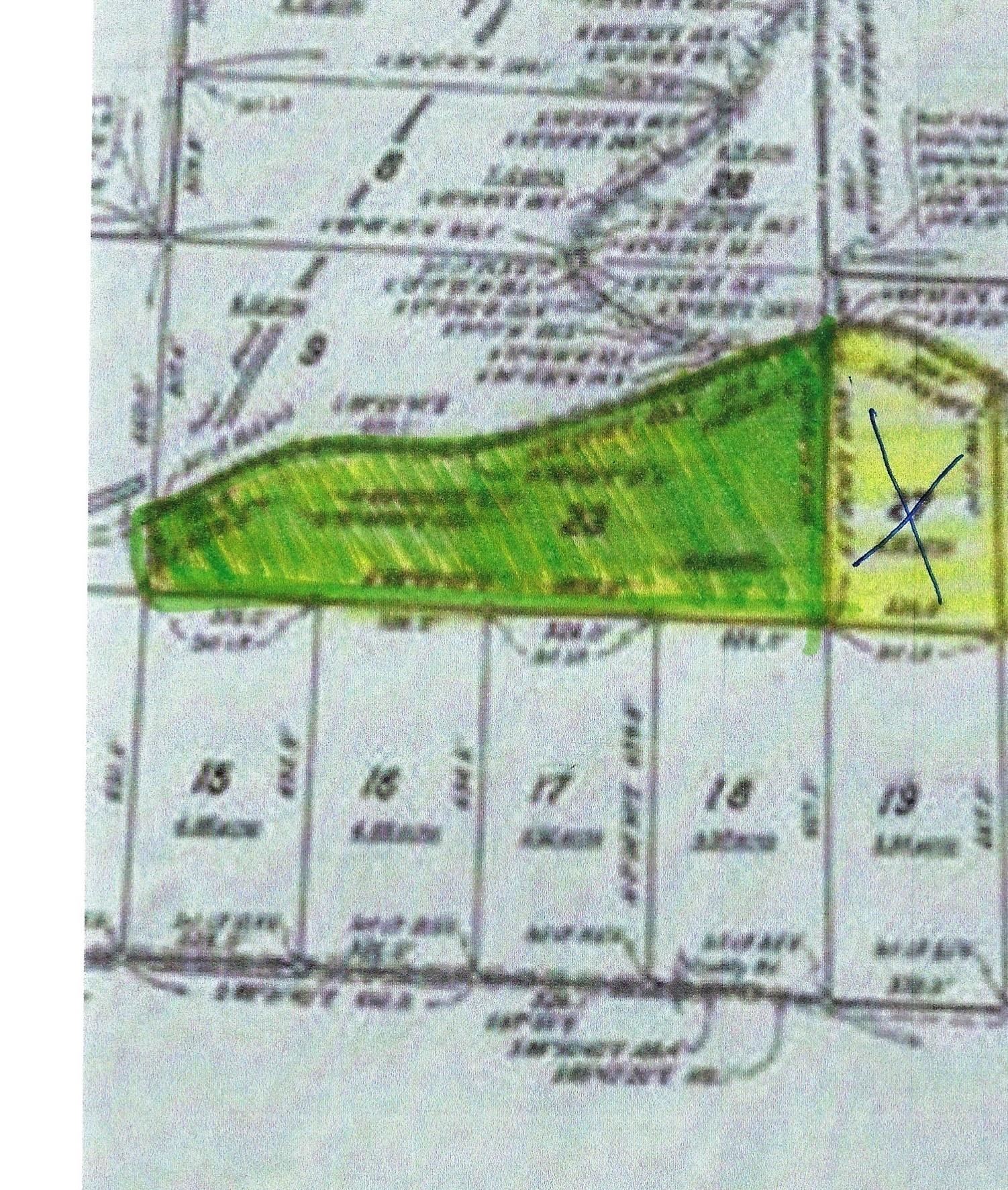 TAYLOR FOSTER BRANCH - Land