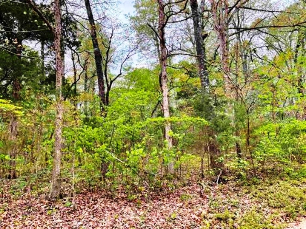 TAYLOR FOSTER BRANCH - Land