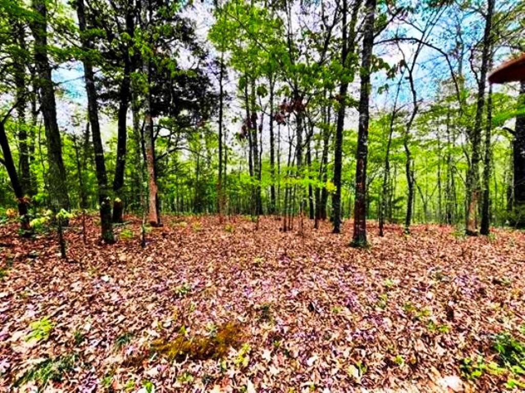 TAYLOR FOSTER BRANCH - Land