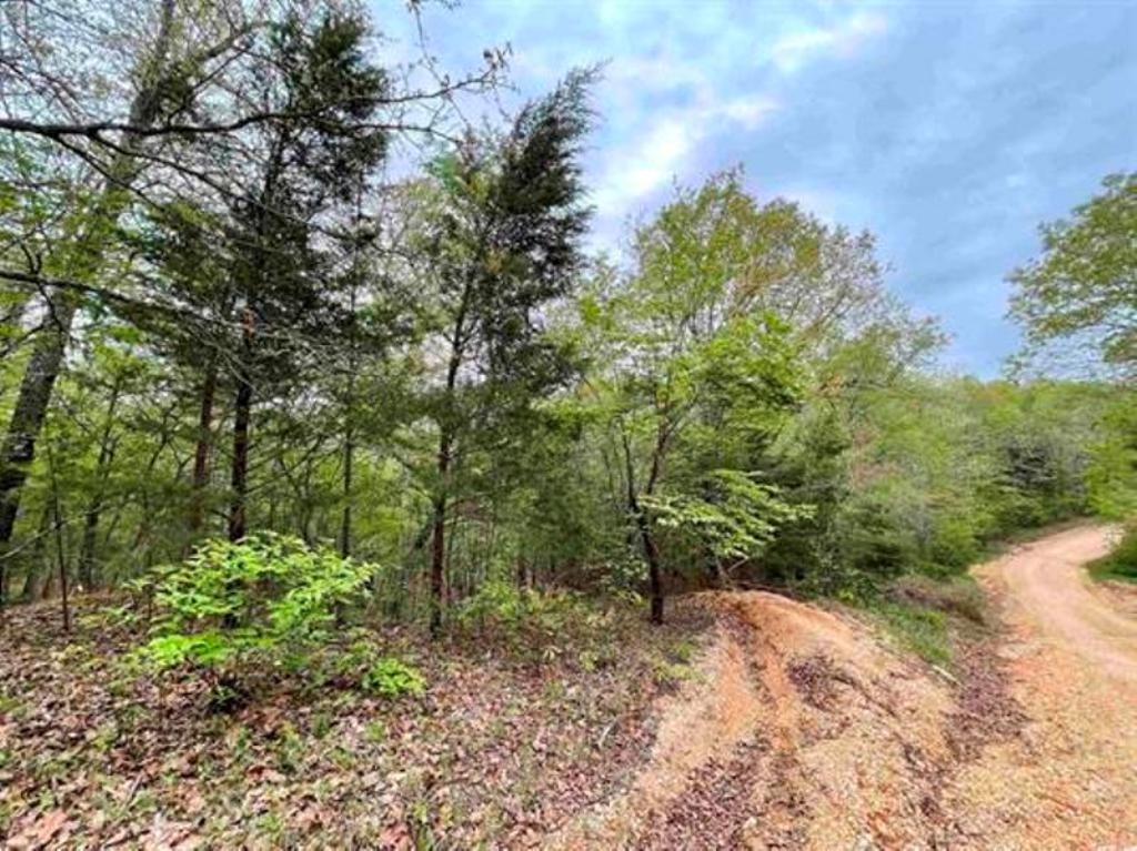 TAYLOR FOSTER BRANCH - Land