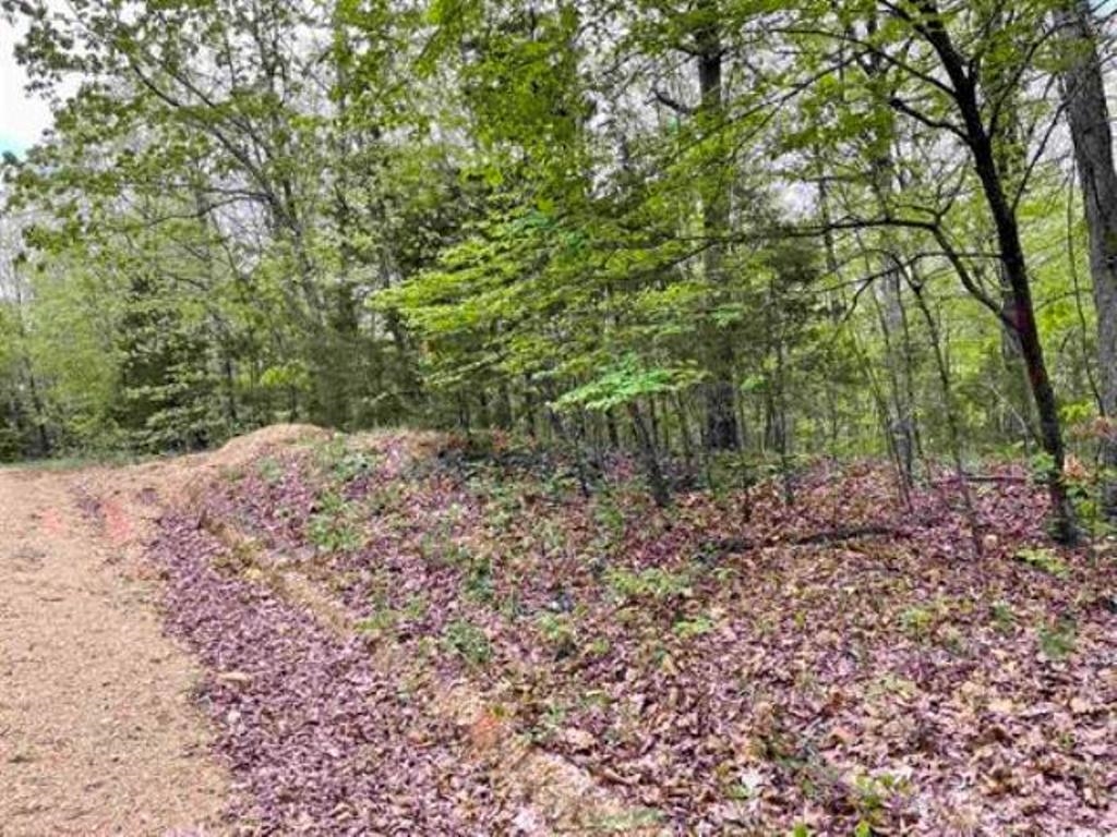 TAYLOR FOSTER BRANCH - Land