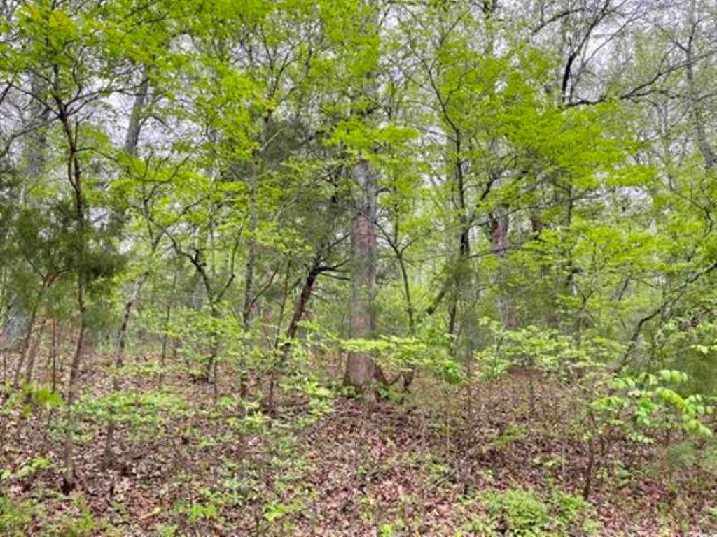 TAYLOR FOSTER BRANCH - Land