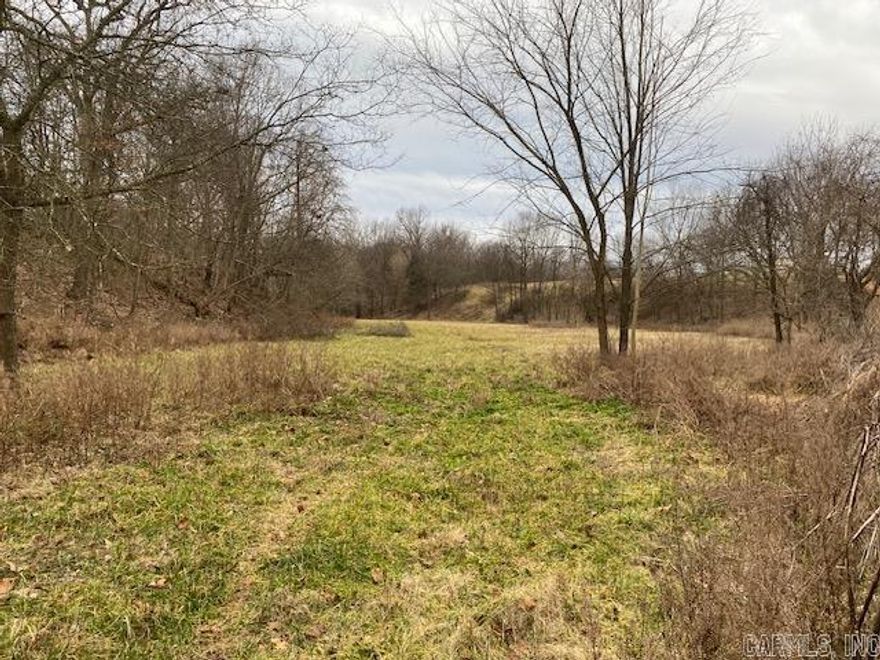 This acreage is the perfect setting for your forever home. It's location is 1 mile off Hwy 412  in Hindsville,AR. Mostly pasture with scattered woods. Property is fenced on all sides and has county road frontage for easy access. Lake Hindsville is located less than 1 mile away for your enjoyment.