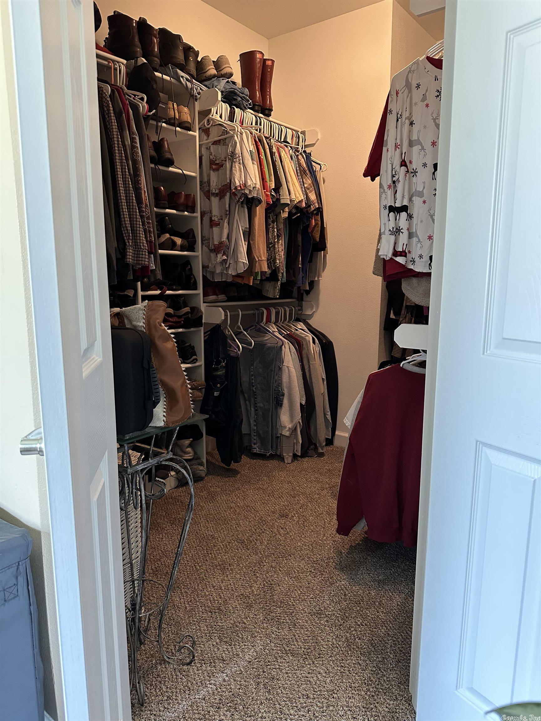 Sylvia Finch Misty Mountain - Residential