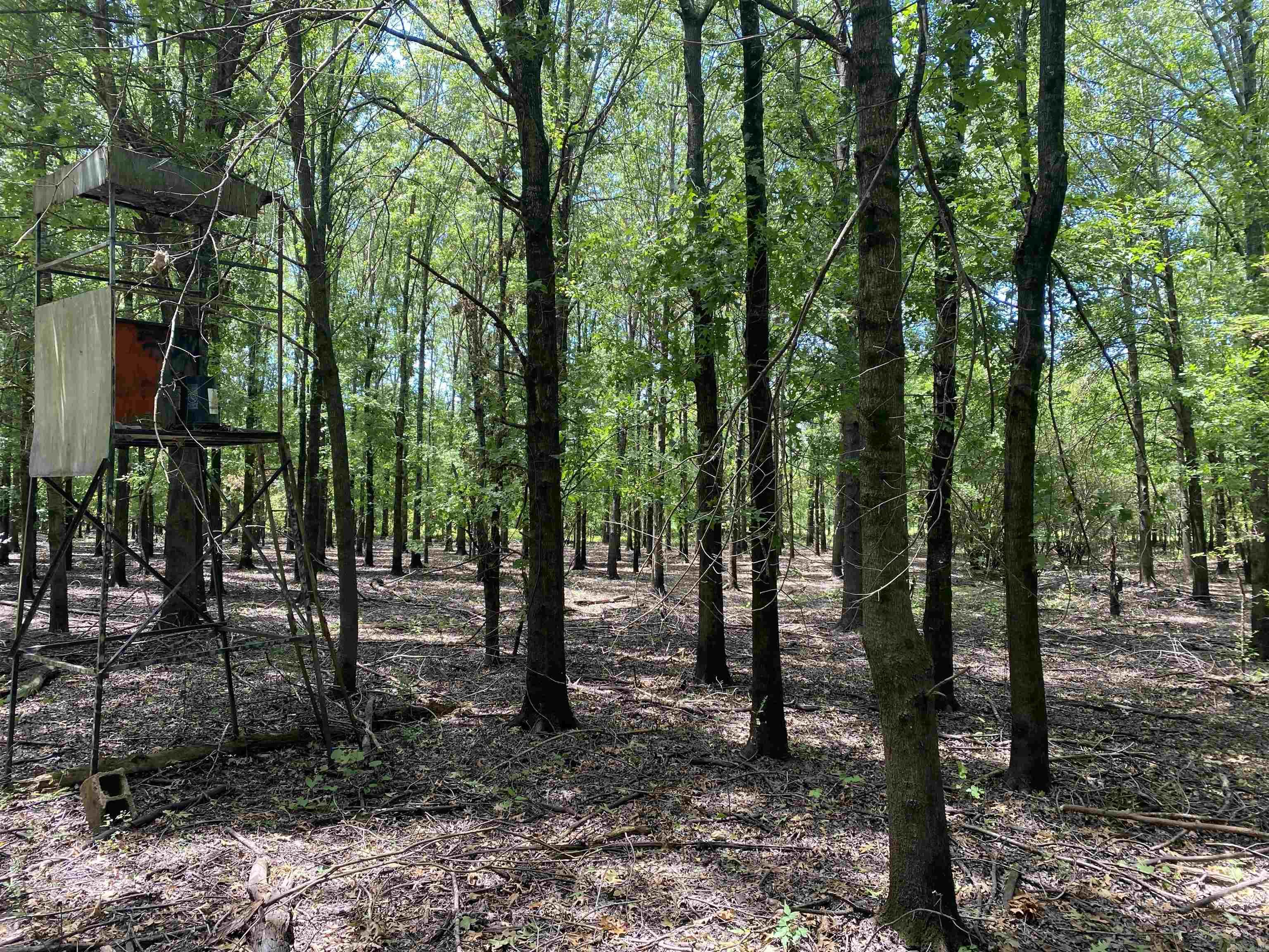 Metes & Bounds - Farm