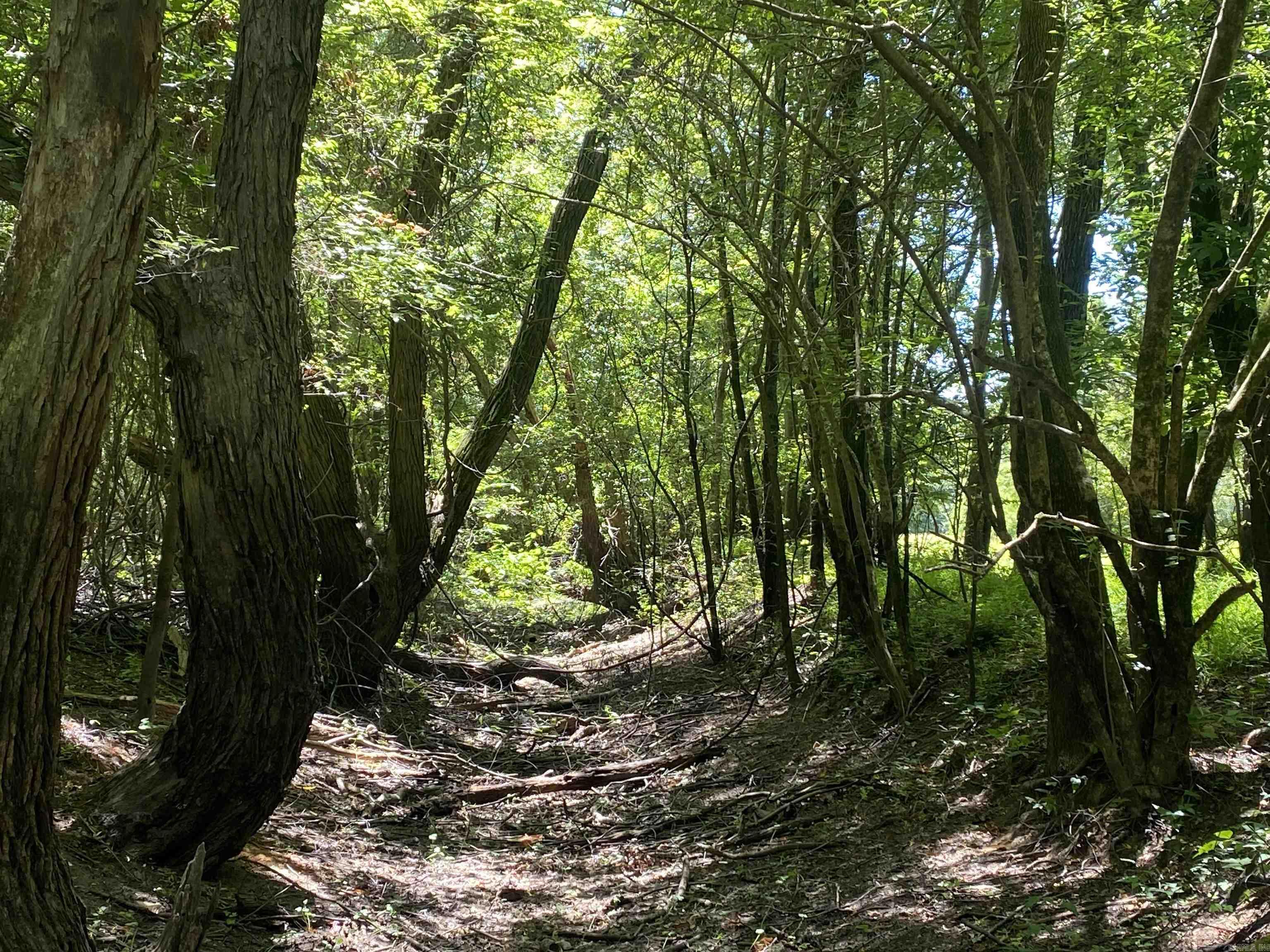 Metes & Bounds - Farm