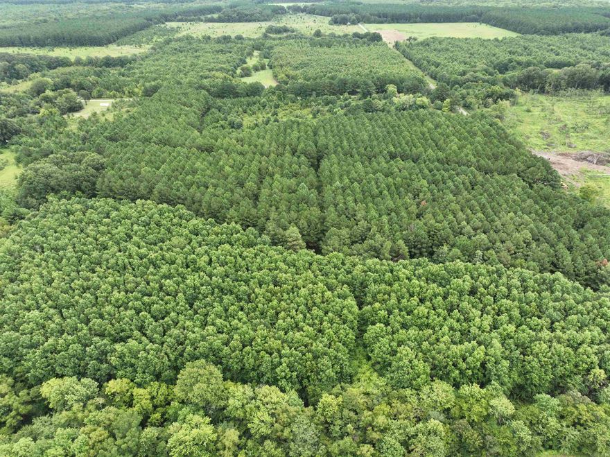 The Jones Island 30 is a unique track featuring just a little bit of everything for its size. As you can see in the photos there are some young hard woods that in the early season will make a great place to harvest big whitetails, and in the late season, when the water rises and with a little work, you could have a hole to harvest waterfowl on your own property. The Jones Island 30 also features a nice stand of pines with established trails, and food plot areas that all border a great bedding area for wildlife that are also on the property as well. On the property you will also find that it offers both low lying areas and higher elevated electricity, and a small shop that with a little TLC could make a great location for a base camp, or a place to store your hunting equipment. Finally, as you can see on the map this property is located in the heart of some of Arkansas's most sought-after WMA's, and public boat launches such as, Raft Creek, Henry Gray Hurricane WMA, White River in Georgetown AR, the Red River in Nimmo AR, and countless creeks and lakes that are nearby making it quick and easy to get to the hole first.