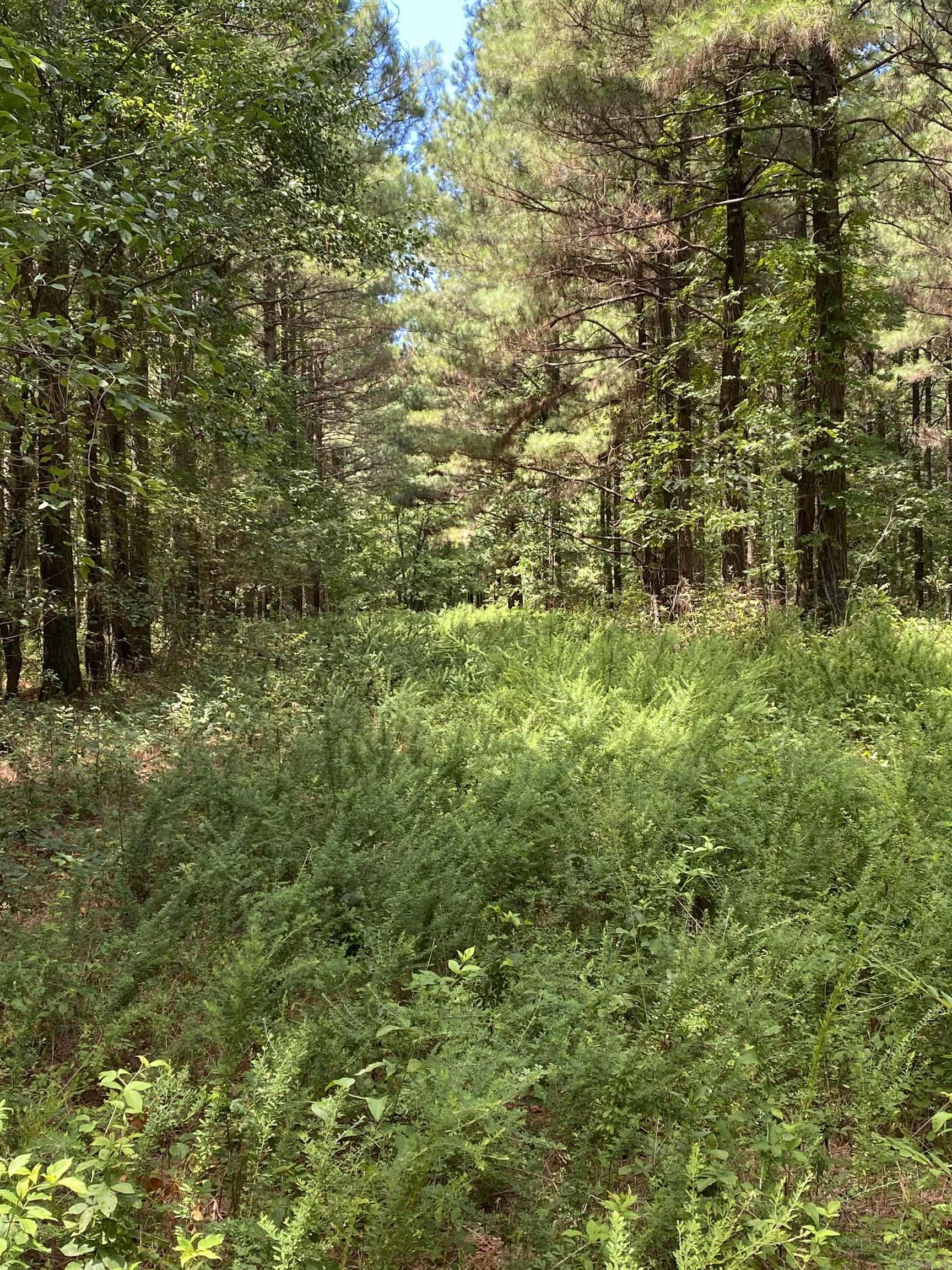 Metes & Bounds - Farm